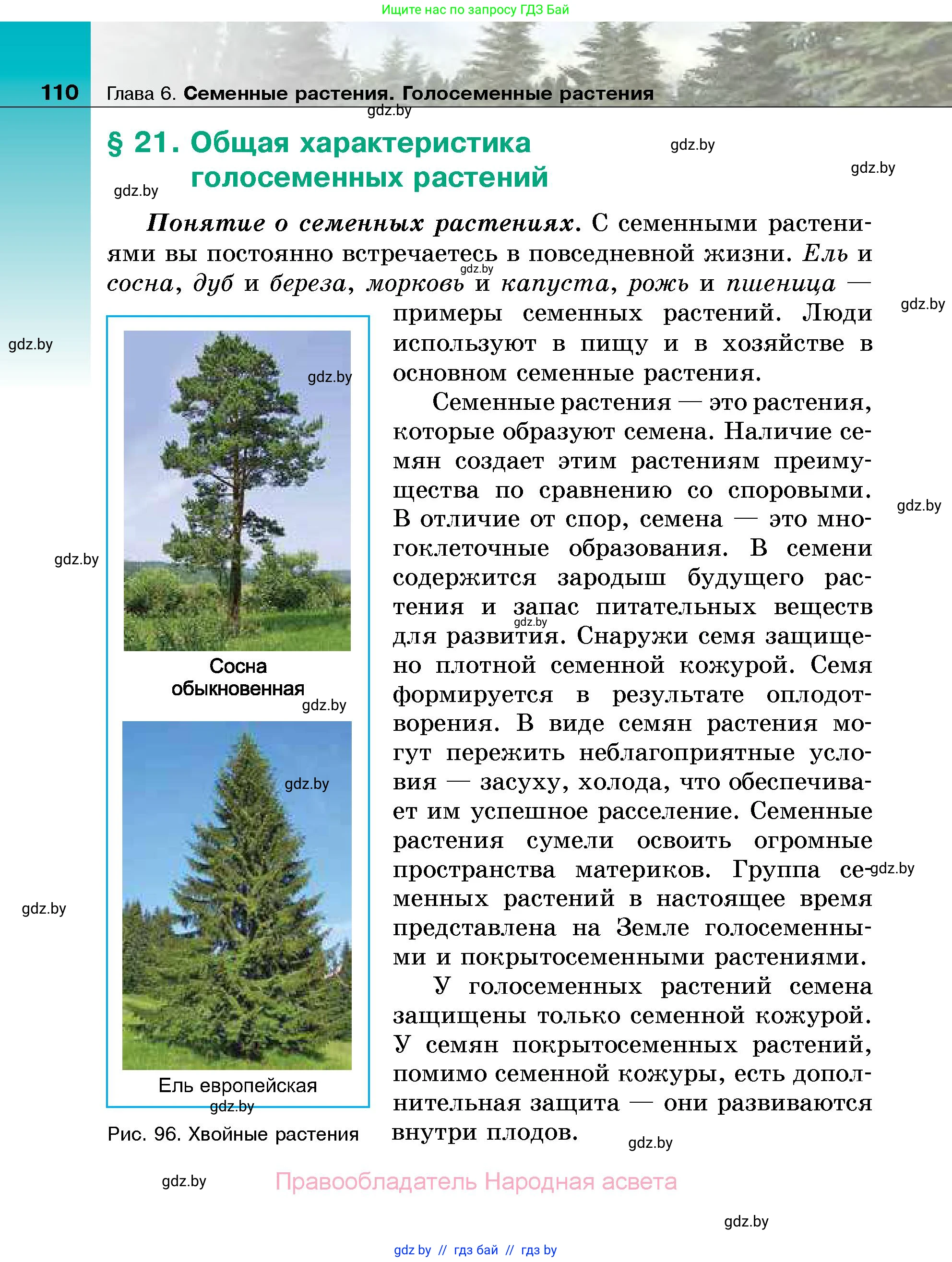 Биология, 7 класс Учебник, автор: Лисов Николай Дмитриевич, издательство Народная асвета, Минск, 2022, зелёного цвета, страница 110
