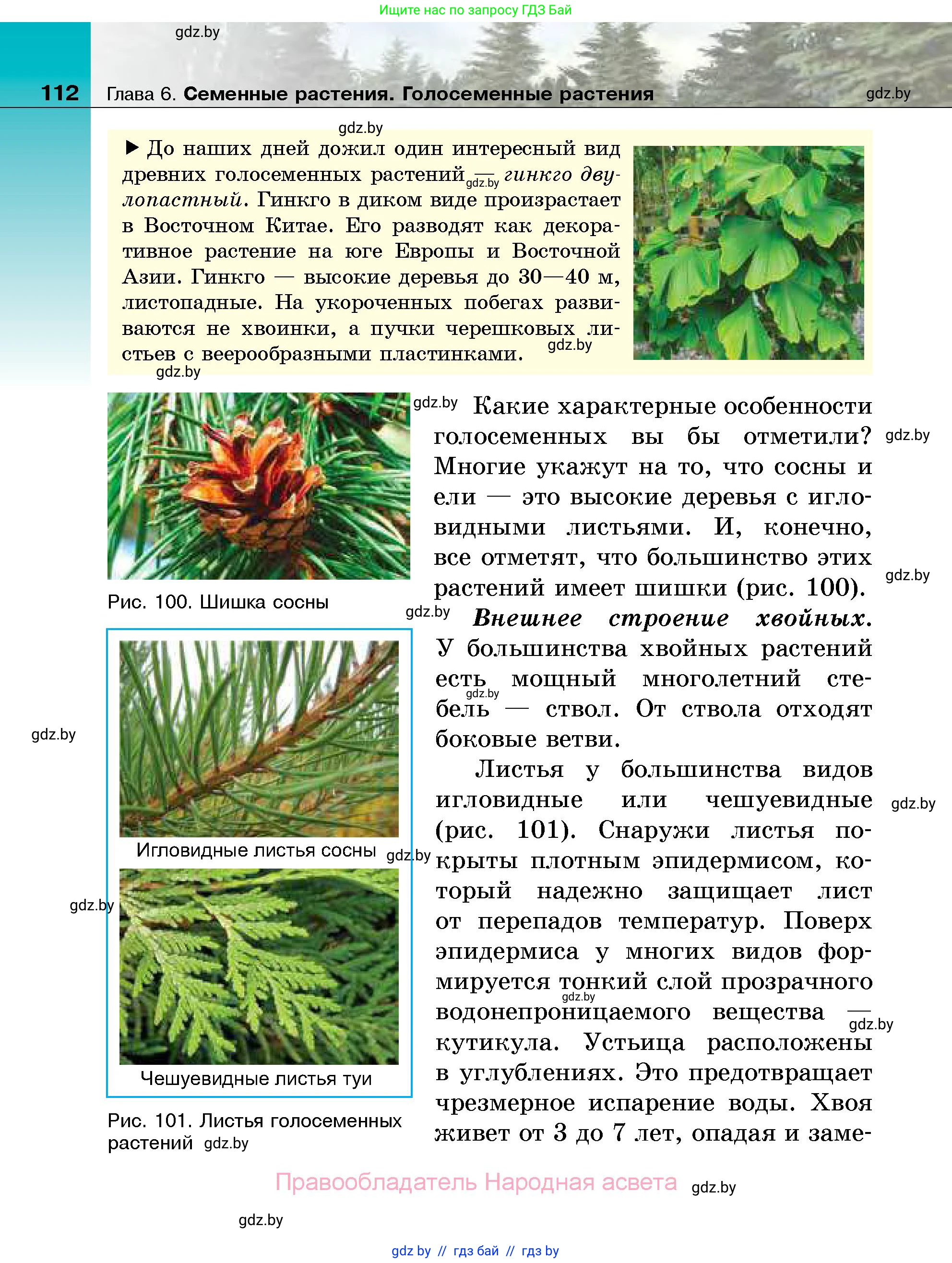Биология, 7 класс Учебник, автор: Лисов Николай Дмитриевич, издательство Народная асвета, Минск, 2022, зелёного цвета, страница 112