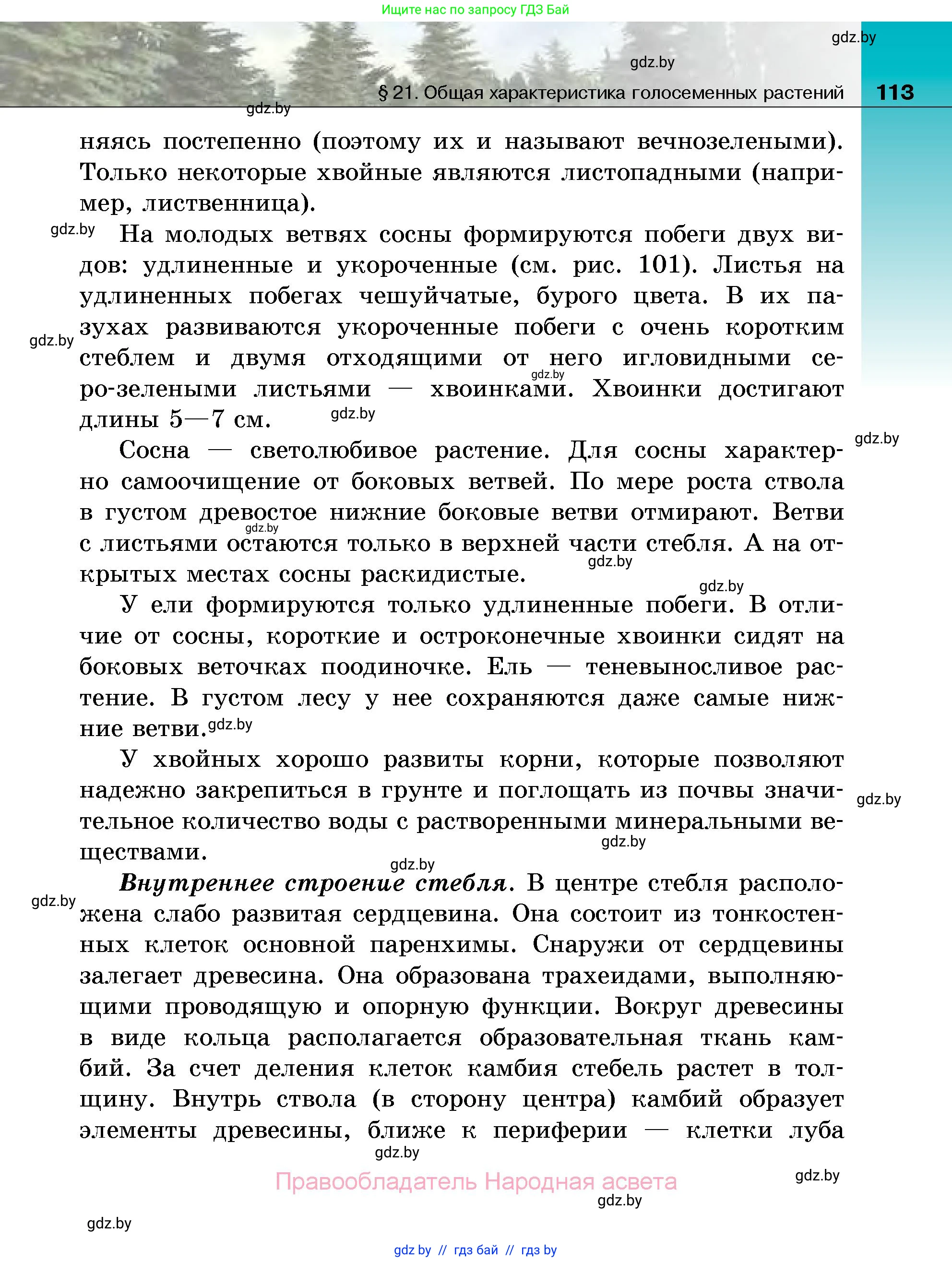 Биология, 7 класс Учебник, автор: Лисов Николай Дмитриевич, издательство Народная асвета, Минск, 2022, зелёного цвета, страница 113