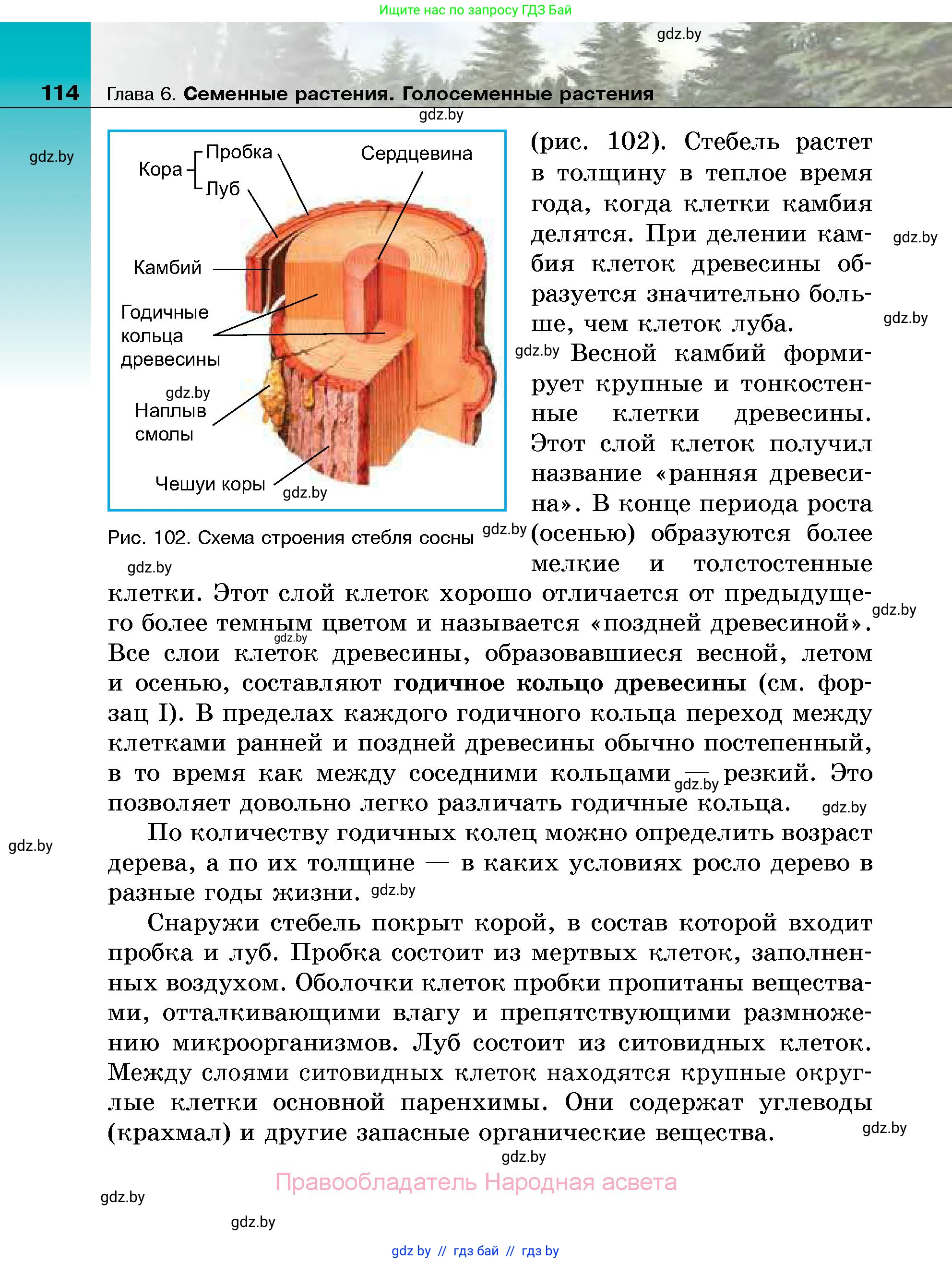 Биология, 7 класс Учебник, автор: Лисов Николай Дмитриевич, издательство Народная асвета, Минск, 2022, зелёного цвета, страница 114