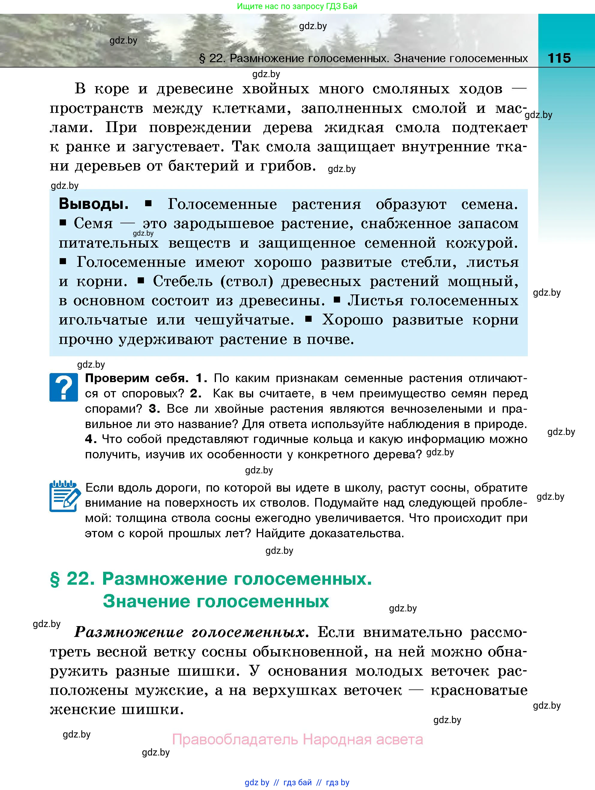 Биология, 7 класс Учебник, автор: Лисов Николай Дмитриевич, издательство Народная асвета, Минск, 2022, зелёного цвета, страница 115