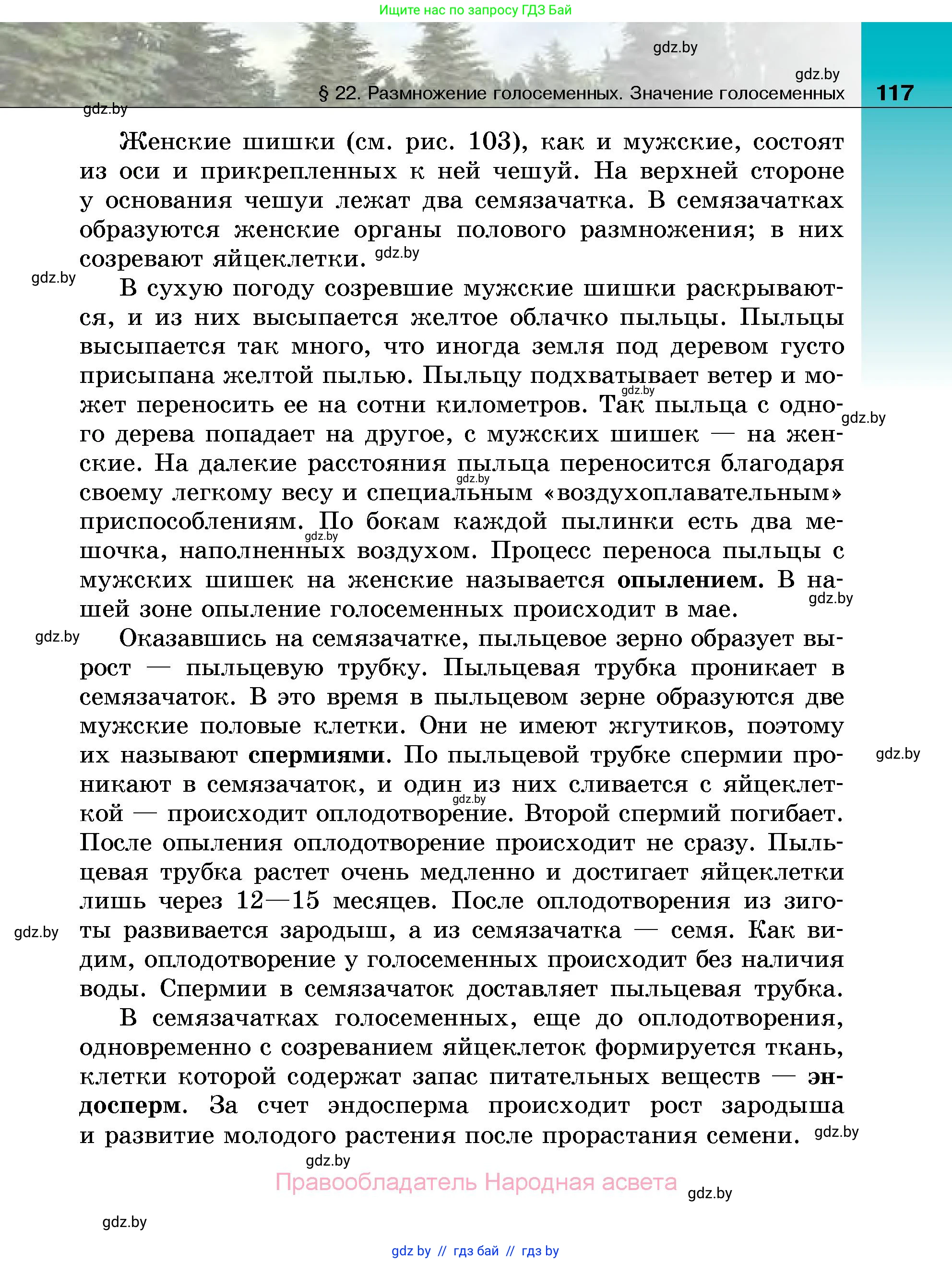 Биология, 7 класс Учебник, автор: Лисов Николай Дмитриевич, издательство Народная асвета, Минск, 2022, зелёного цвета, страница 117