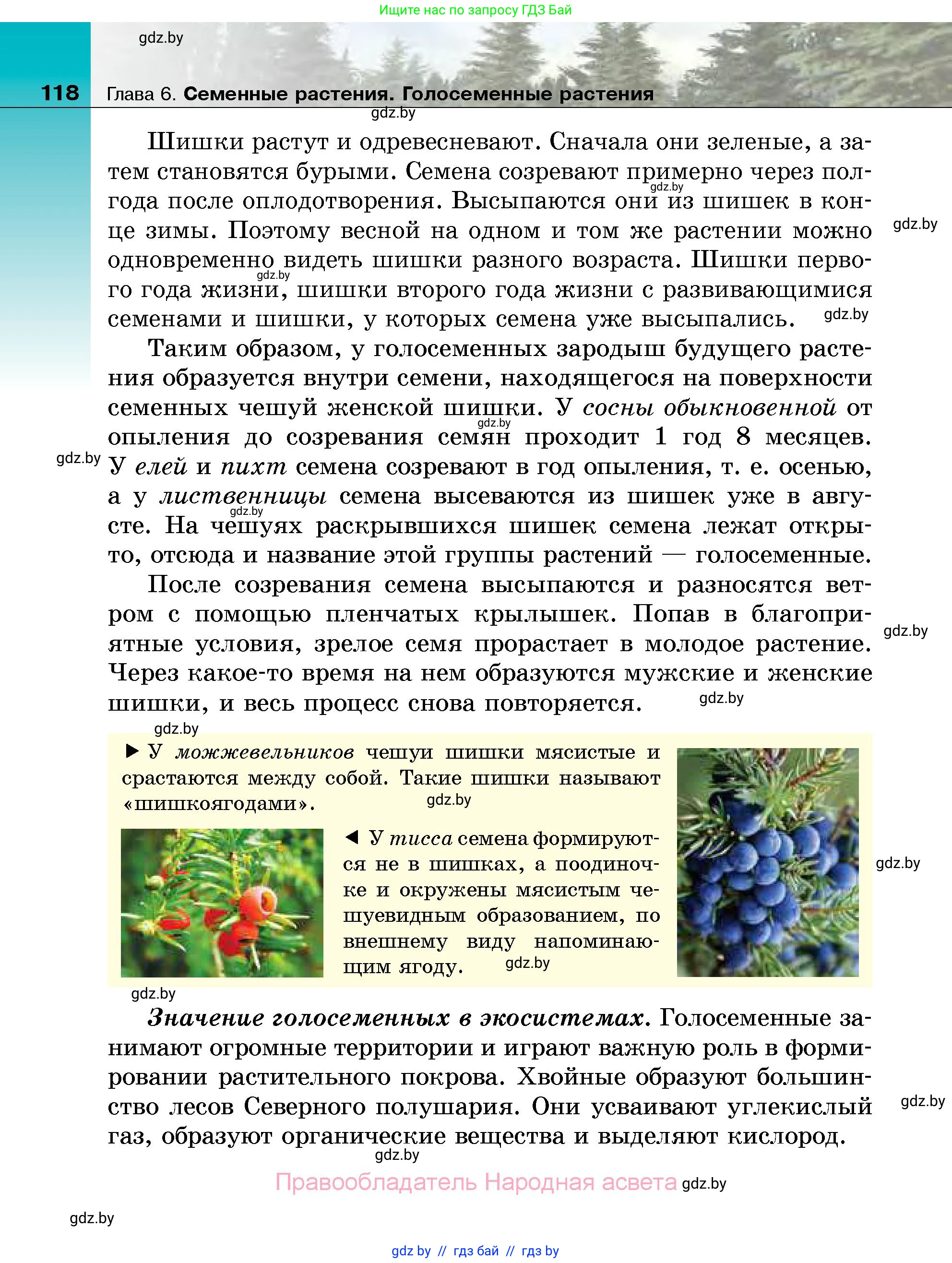 Биология, 7 класс Учебник, автор: Лисов Николай Дмитриевич, издательство Народная асвета, Минск, 2022, зелёного цвета, страница 118