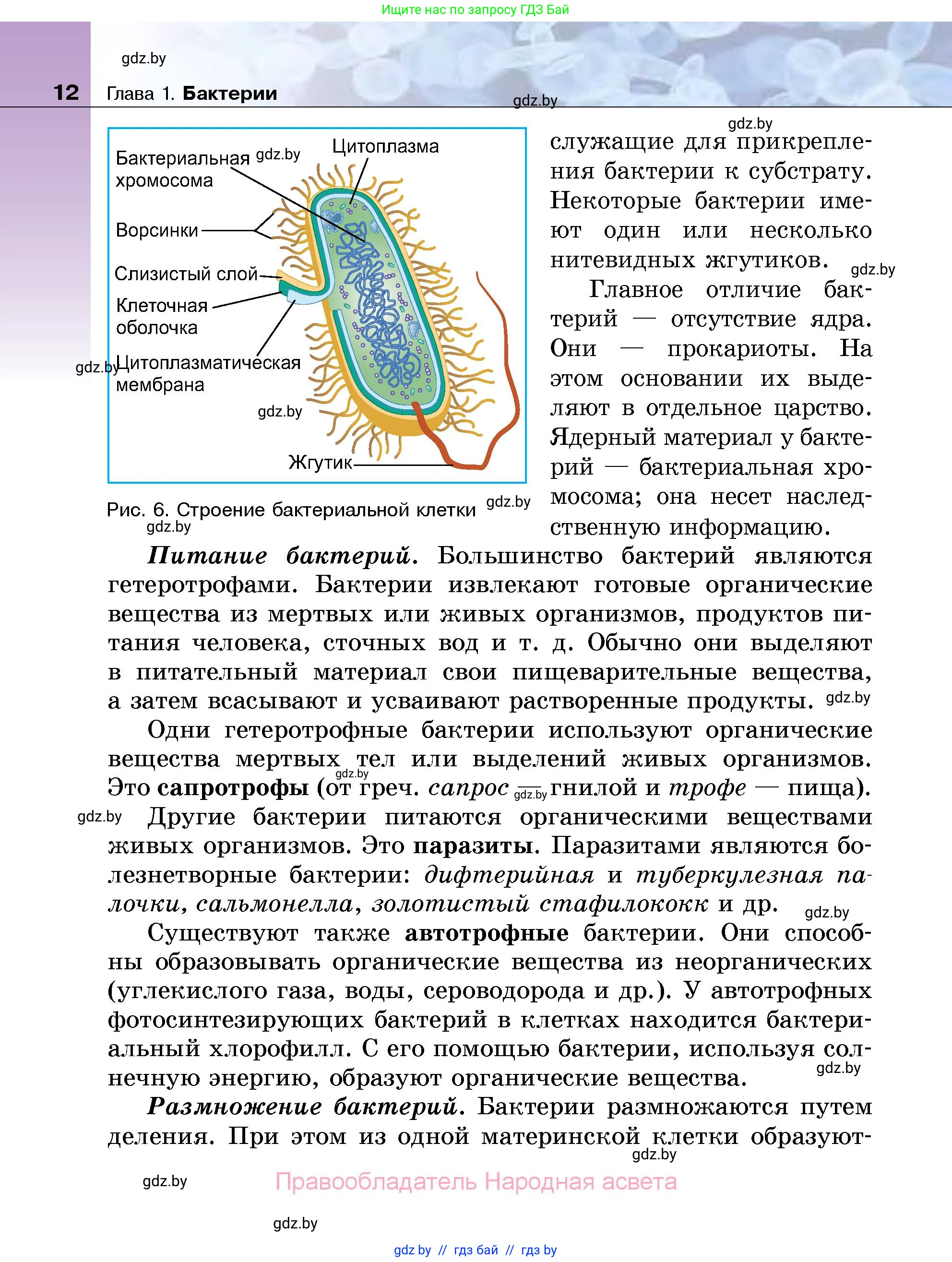 Биология, 7 класс Учебник, автор: Лисов Николай Дмитриевич, издательство Народная асвета, Минск, 2022, зелёного цвета, страница 12