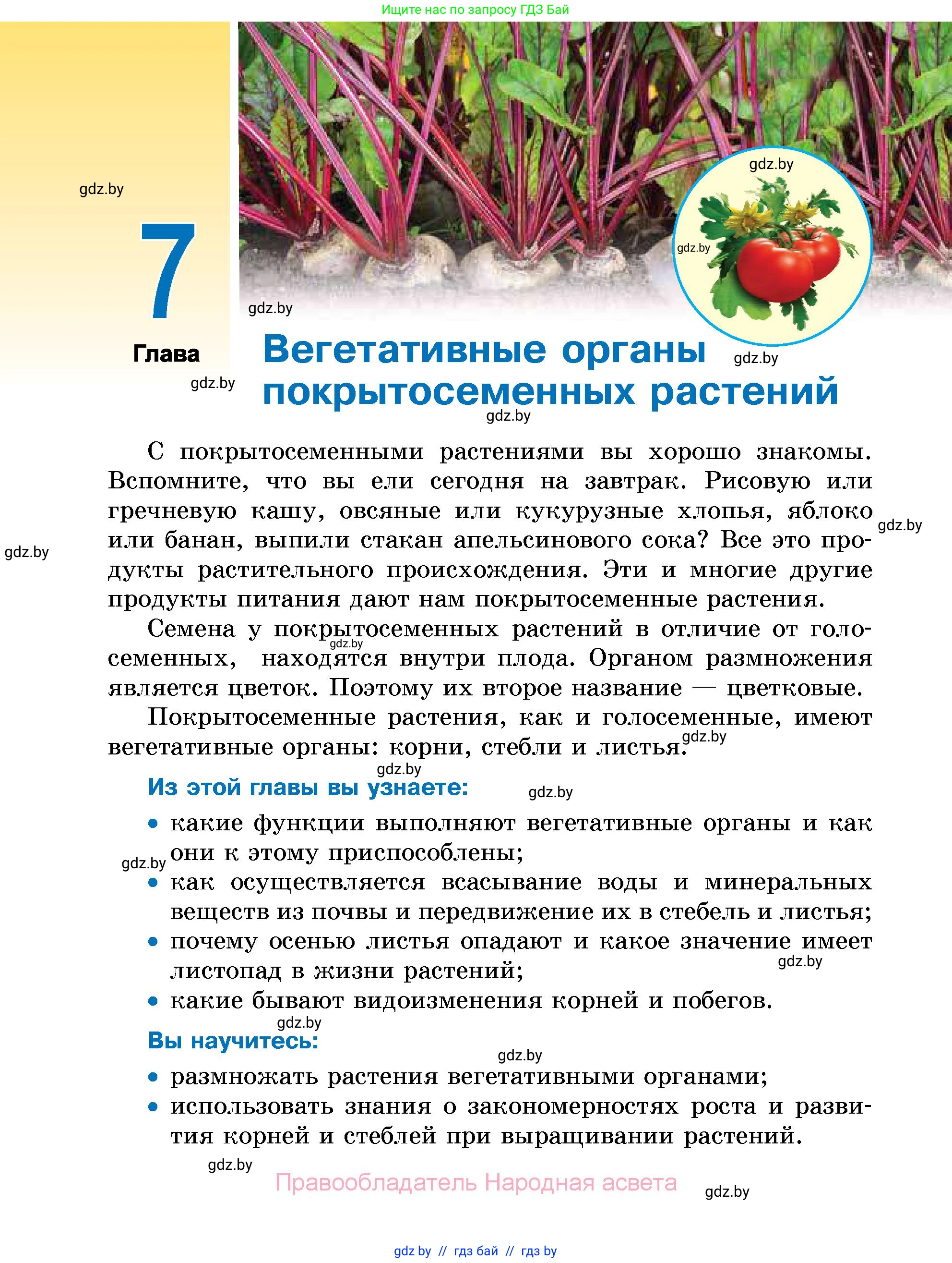 Биология, 7 класс Учебник, автор: Лисов Николай Дмитриевич, издательство Народная асвета, Минск, 2022, зелёного цвета, страница 122