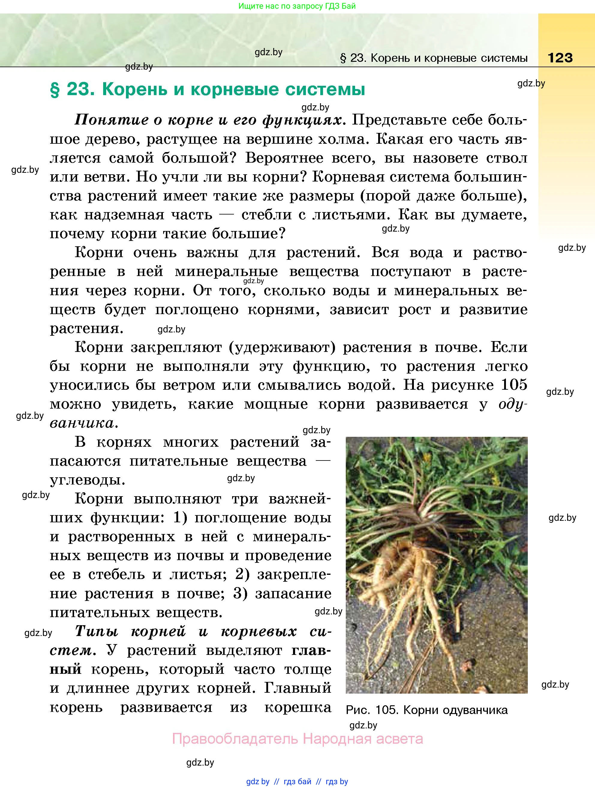 Биология, 7 класс Учебник, автор: Лисов Николай Дмитриевич, издательство Народная асвета, Минск, 2022, зелёного цвета, страница 123