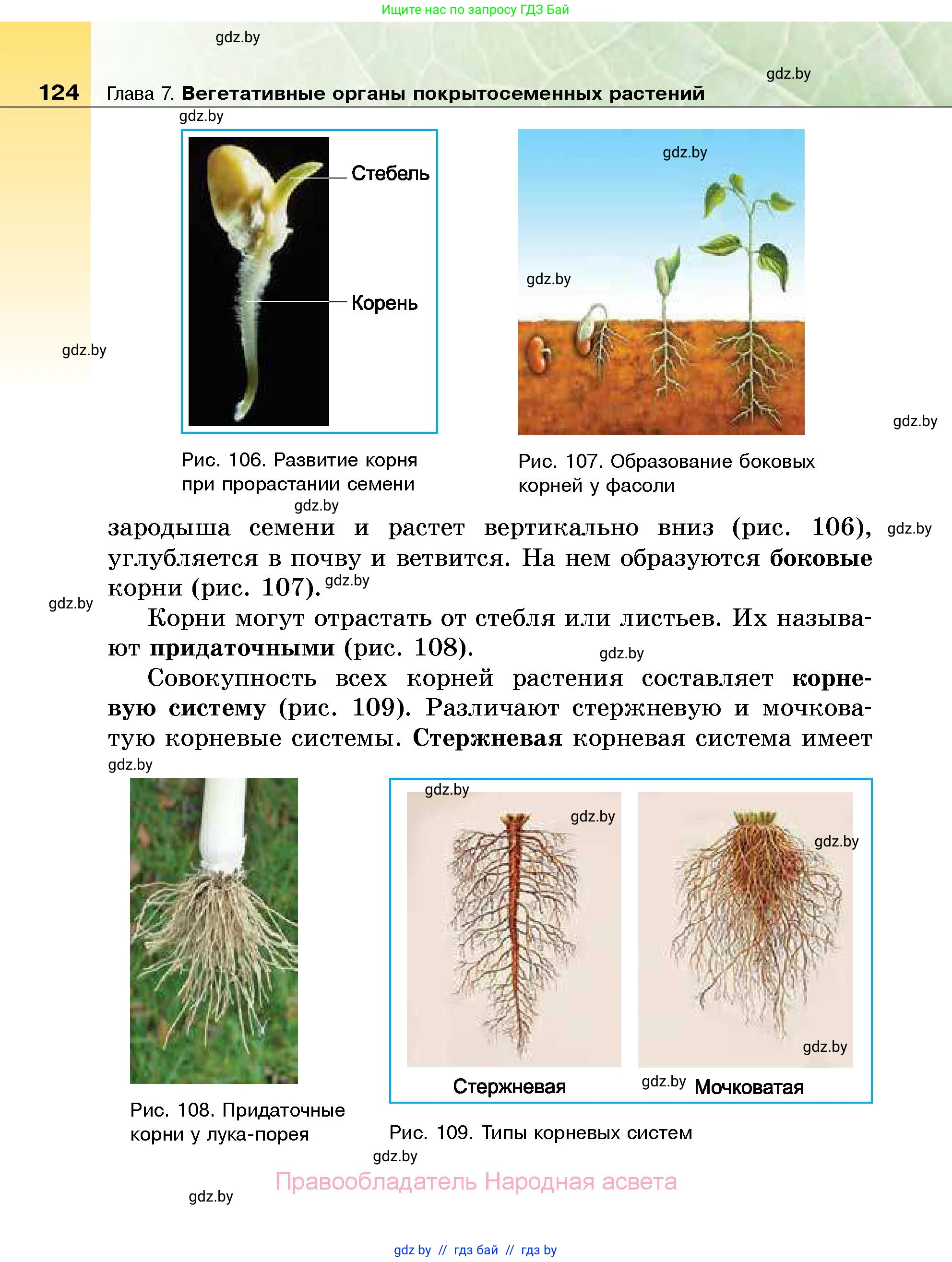 Биология, 7 класс Учебник, автор: Лисов Николай Дмитриевич, издательство Народная асвета, Минск, 2022, зелёного цвета, страница 124