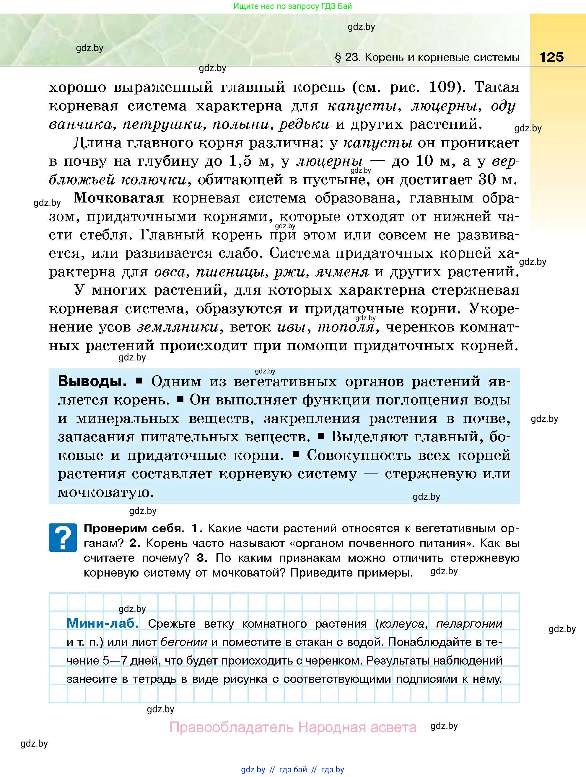 Биология, 7 класс Учебник, автор: Лисов Николай Дмитриевич, издательство Народная асвета, Минск, 2022, зелёного цвета, страница 125