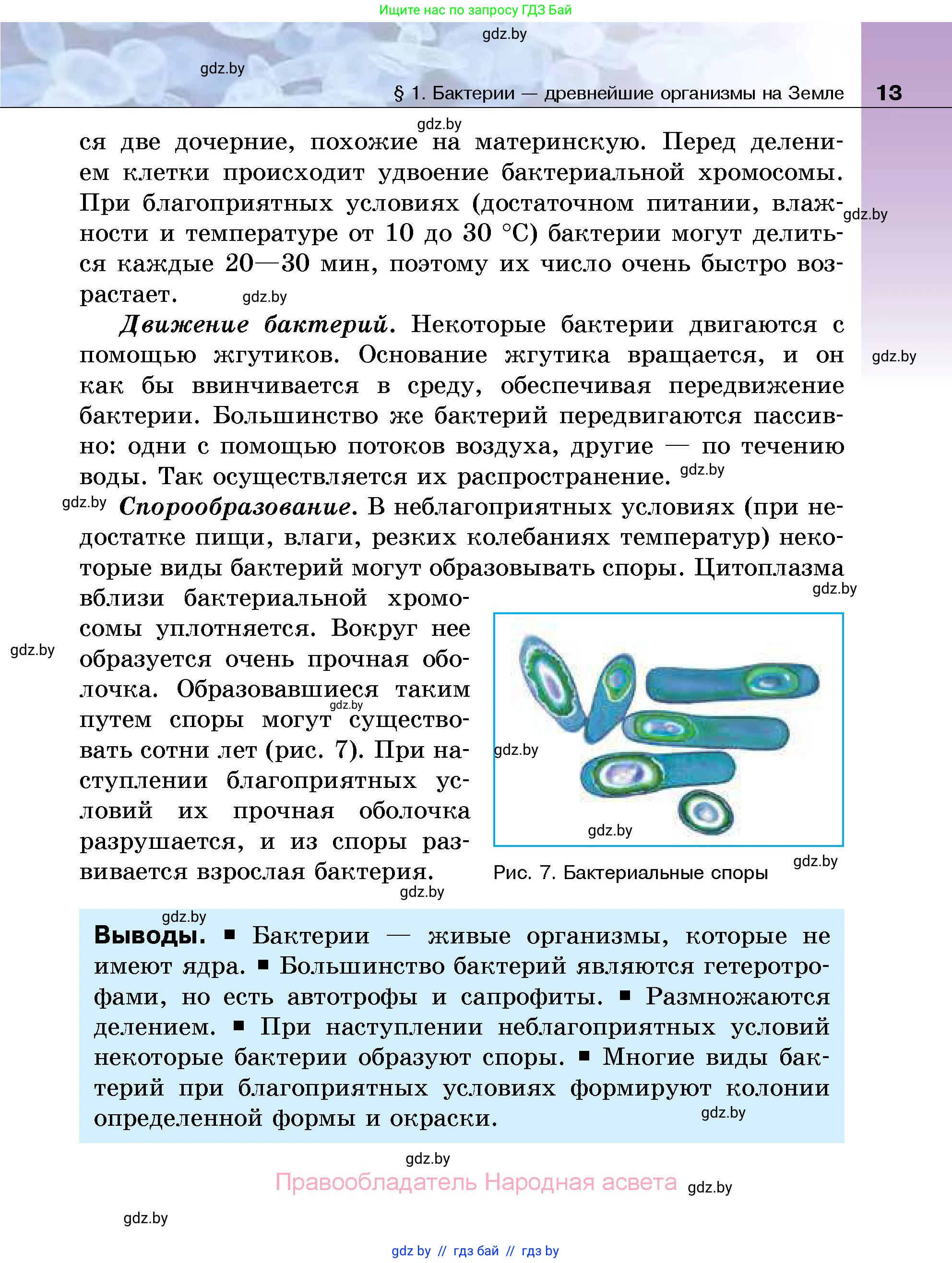 Биология, 7 класс Учебник, автор: Лисов Николай Дмитриевич, издательство Народная асвета, Минск, 2022, зелёного цвета, страница 13