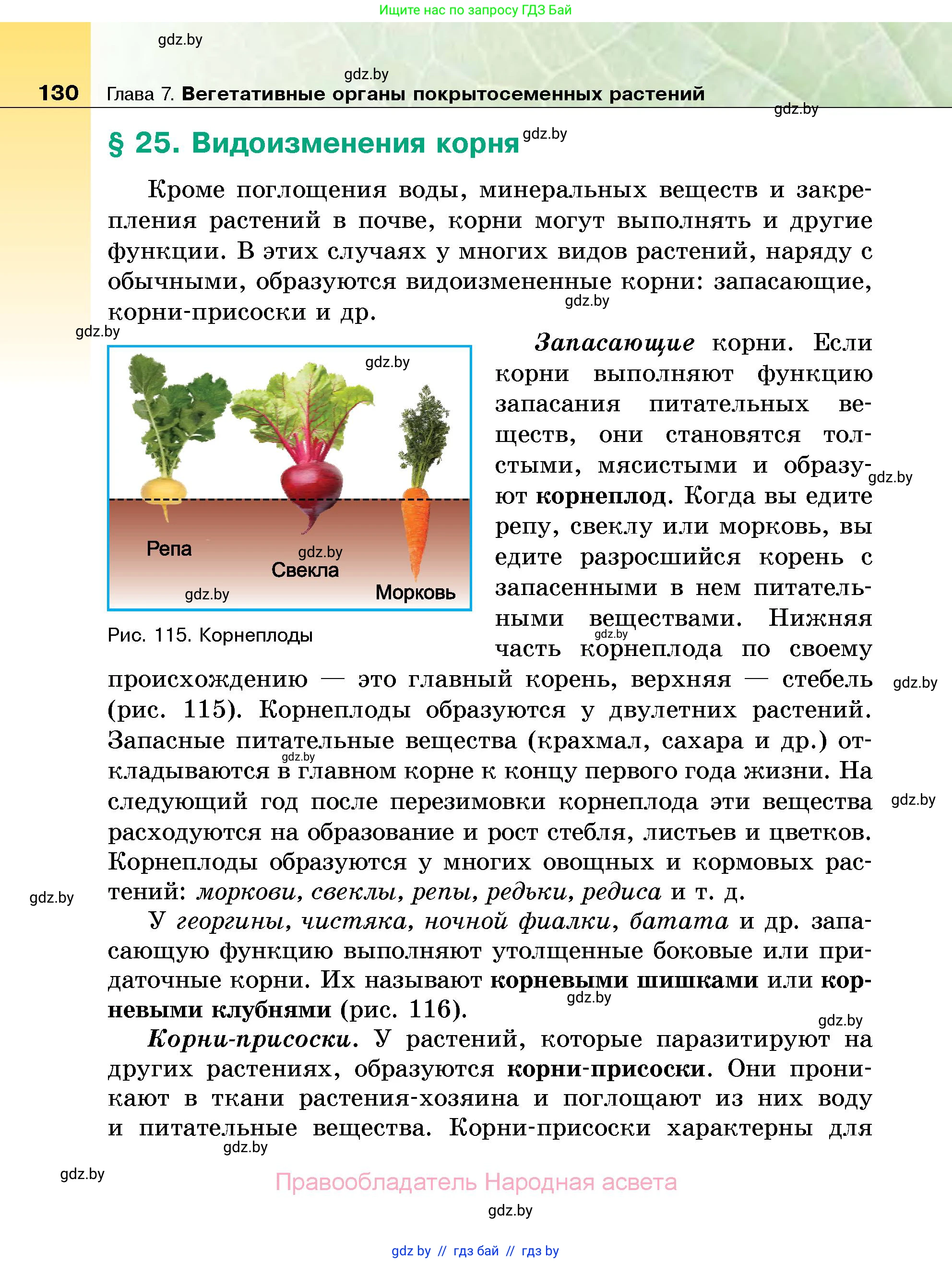 Биология, 7 класс Учебник, автор: Лисов Николай Дмитриевич, издательство Народная асвета, Минск, 2022, зелёного цвета, страница 130