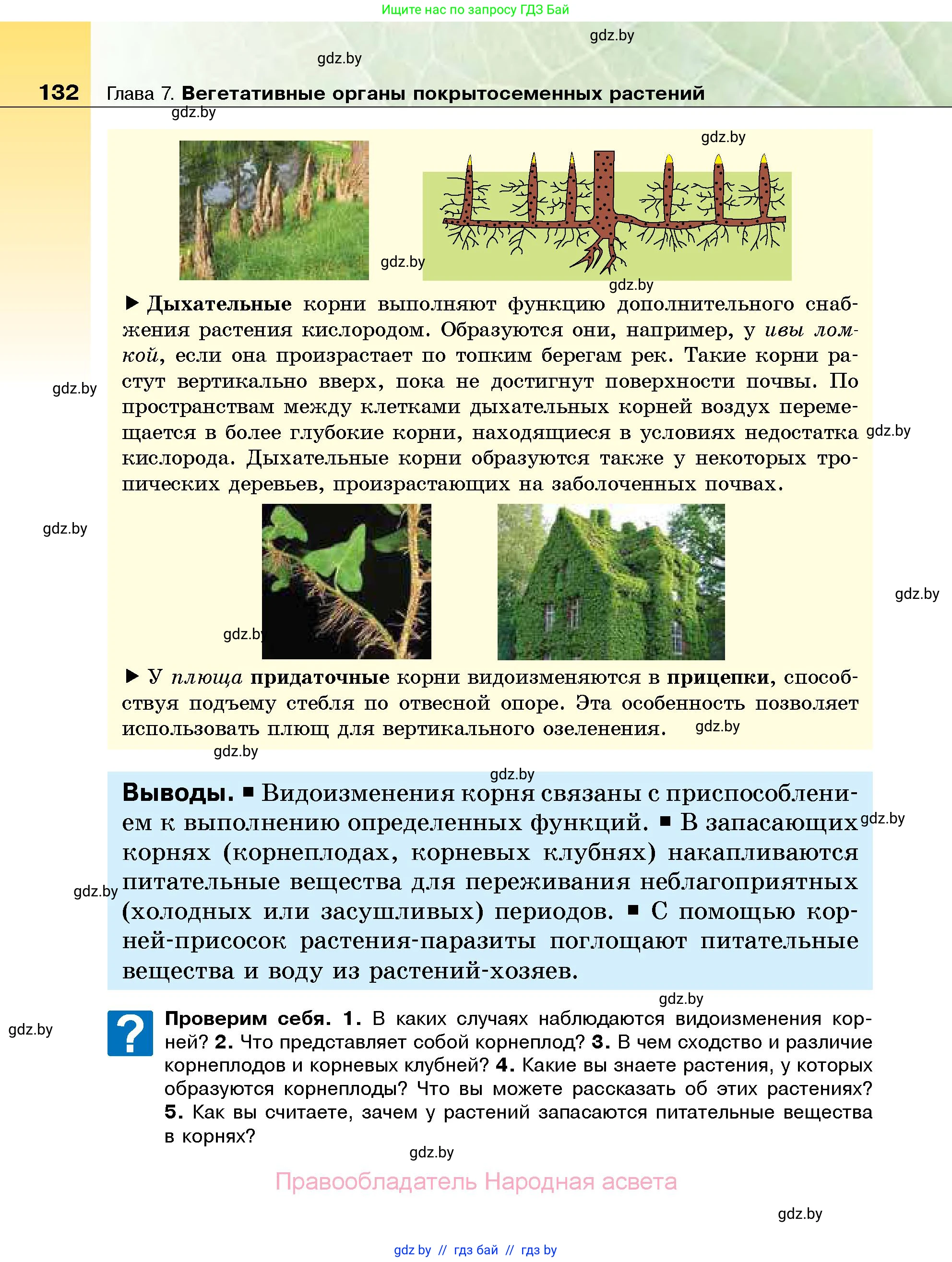 Биология, 7 класс Учебник, автор: Лисов Николай Дмитриевич, издательство Народная асвета, Минск, 2022, зелёного цвета, страница 132