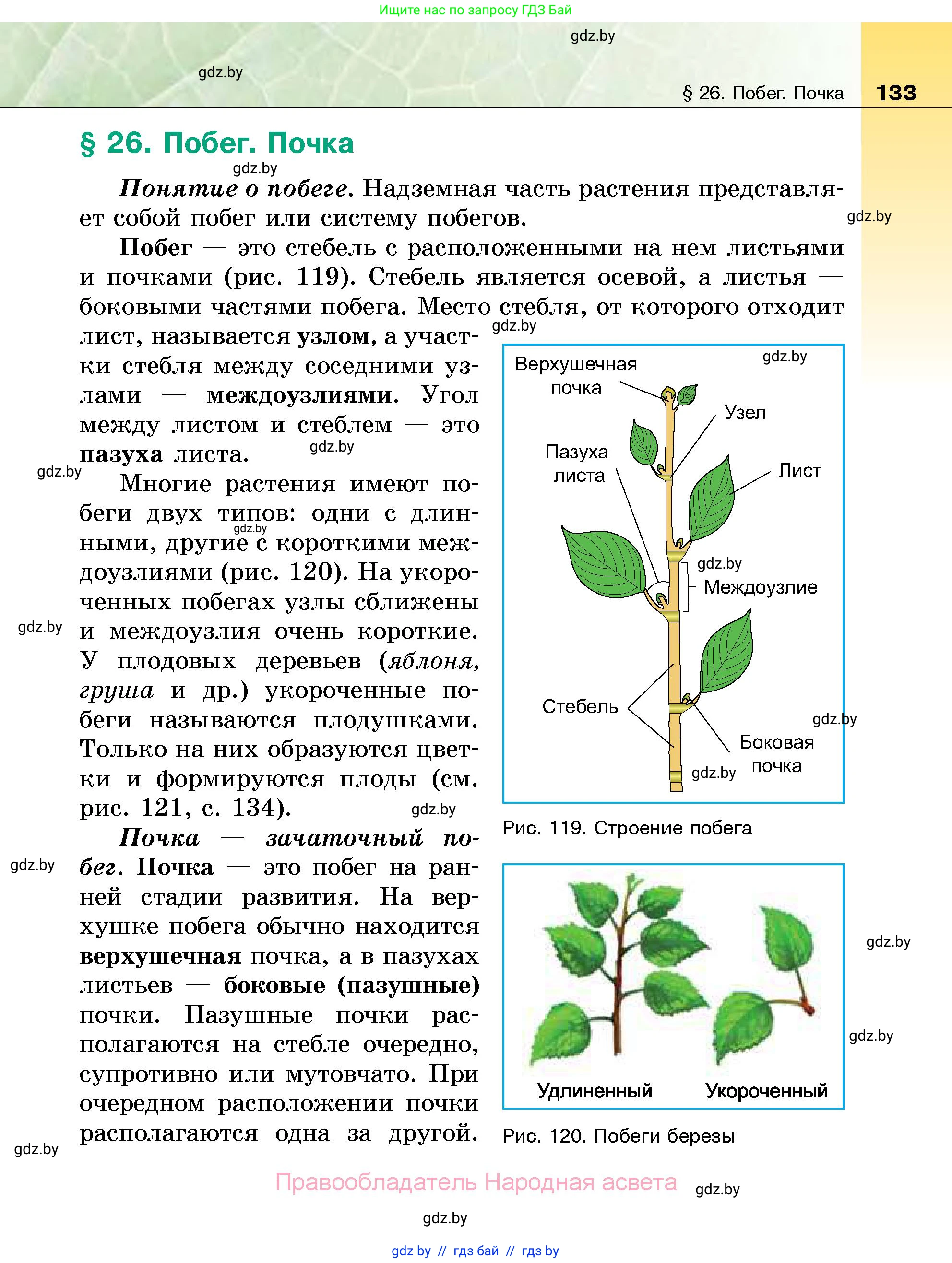 Биология, 7 класс Учебник, автор: Лисов Николай Дмитриевич, издательство Народная асвета, Минск, 2022, зелёного цвета, страница 133