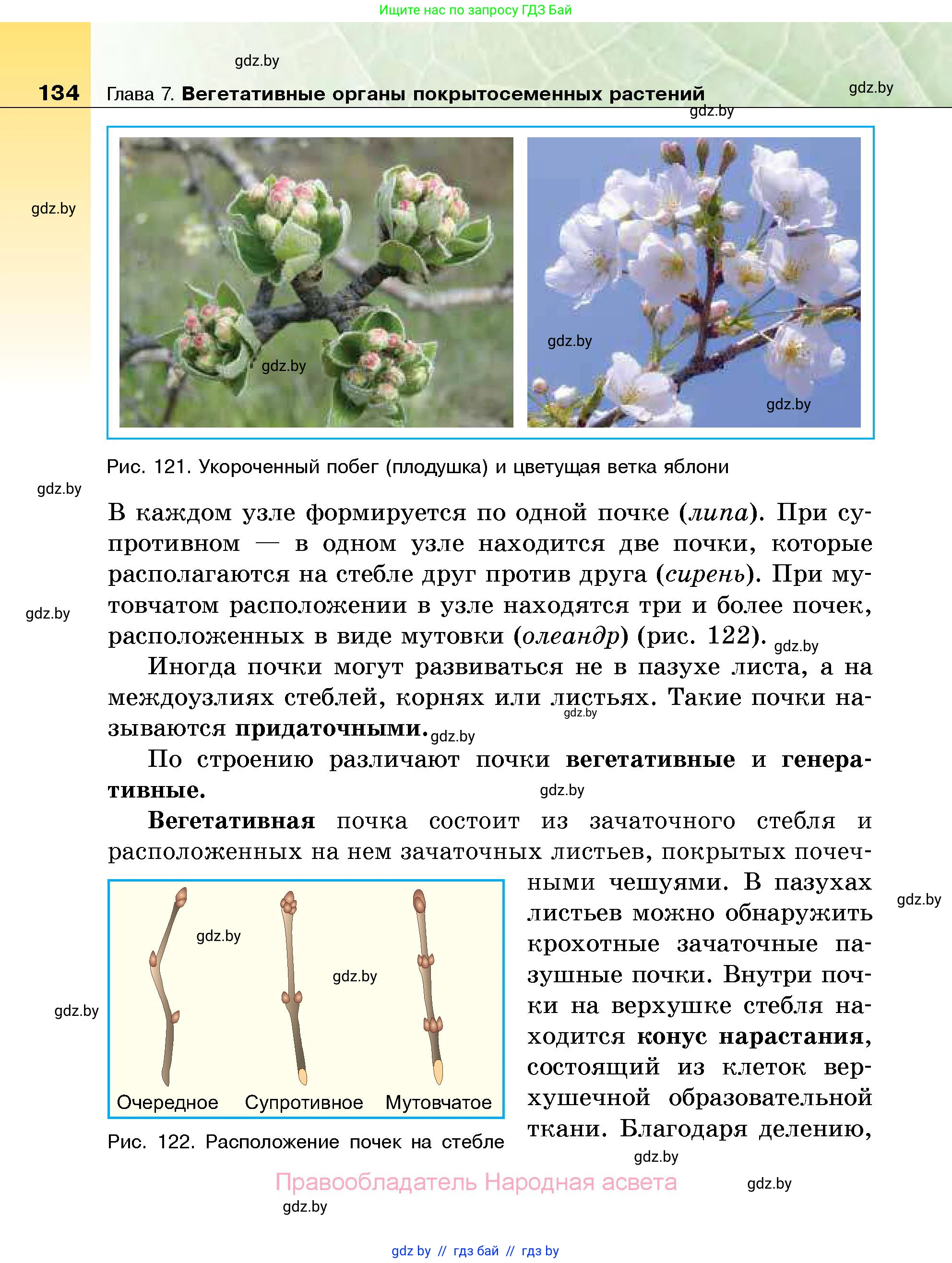 Биология, 7 класс Учебник, автор: Лисов Николай Дмитриевич, издательство Народная асвета, Минск, 2022, зелёного цвета, страница 134