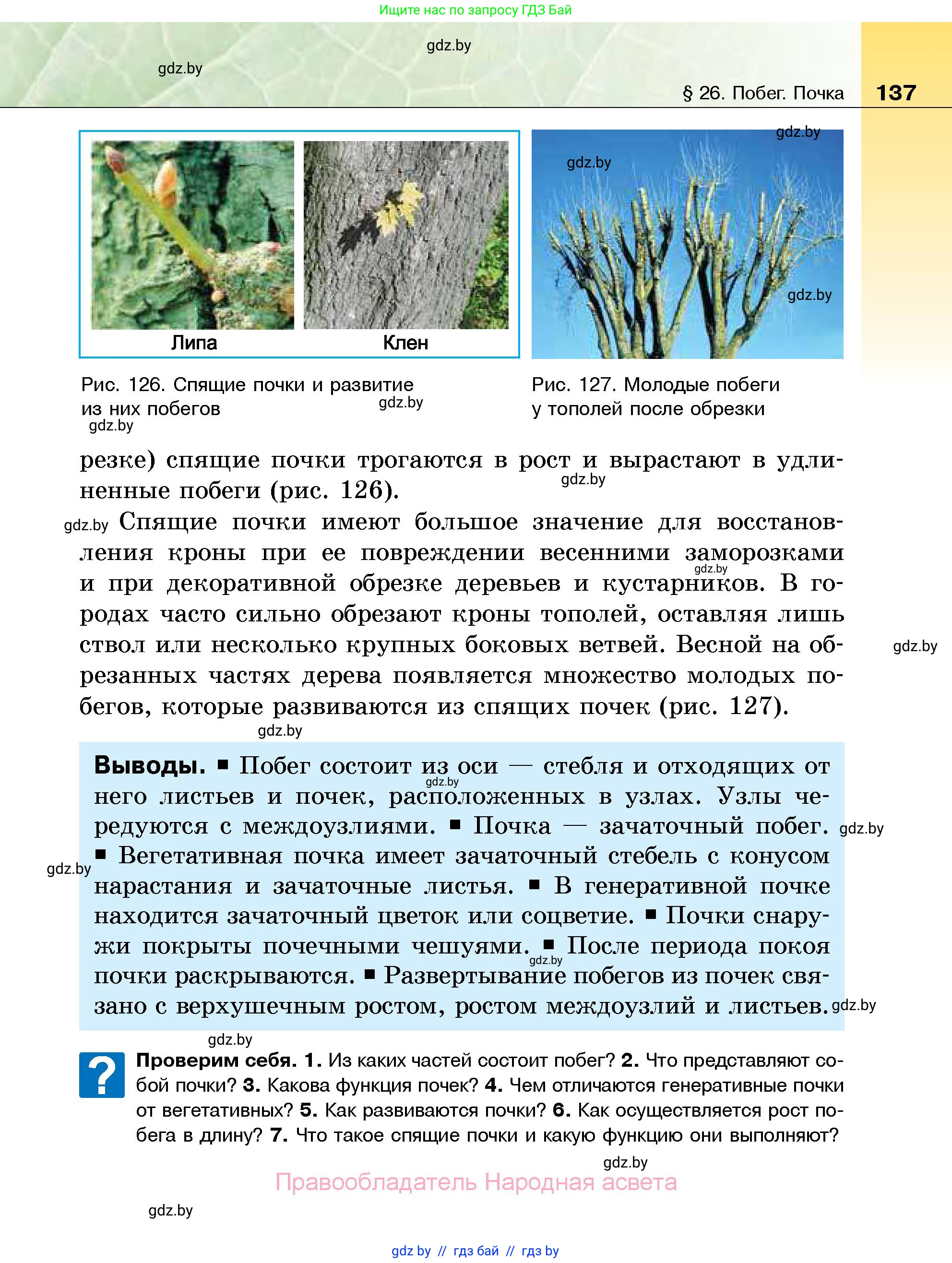 Биология, 7 класс Учебник, автор: Лисов Николай Дмитриевич, издательство Народная асвета, Минск, 2022, зелёного цвета, страница 137