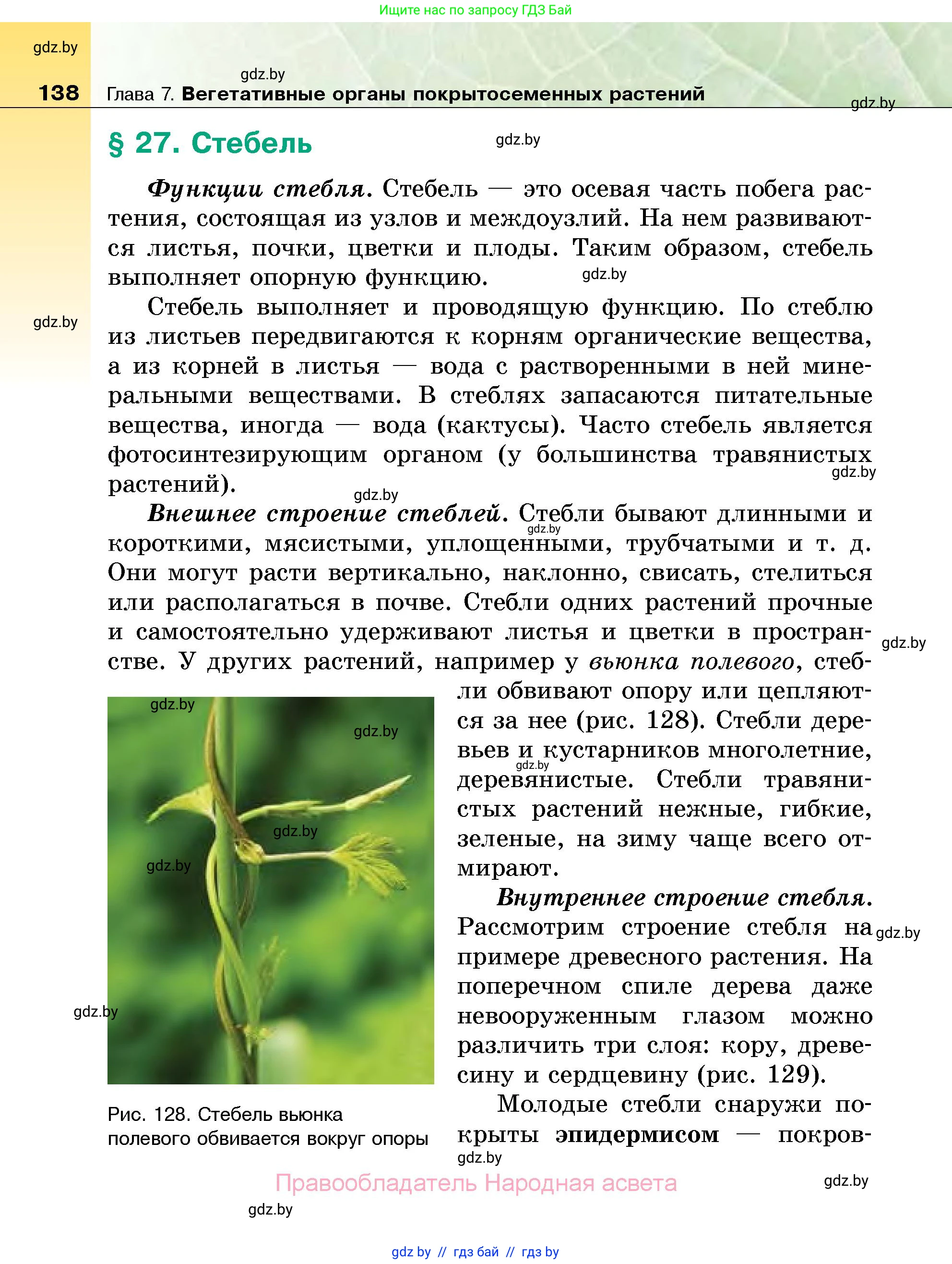 Биология, 7 класс Учебник, автор: Лисов Николай Дмитриевич, издательство Народная асвета, Минск, 2022, зелёного цвета, страница 138