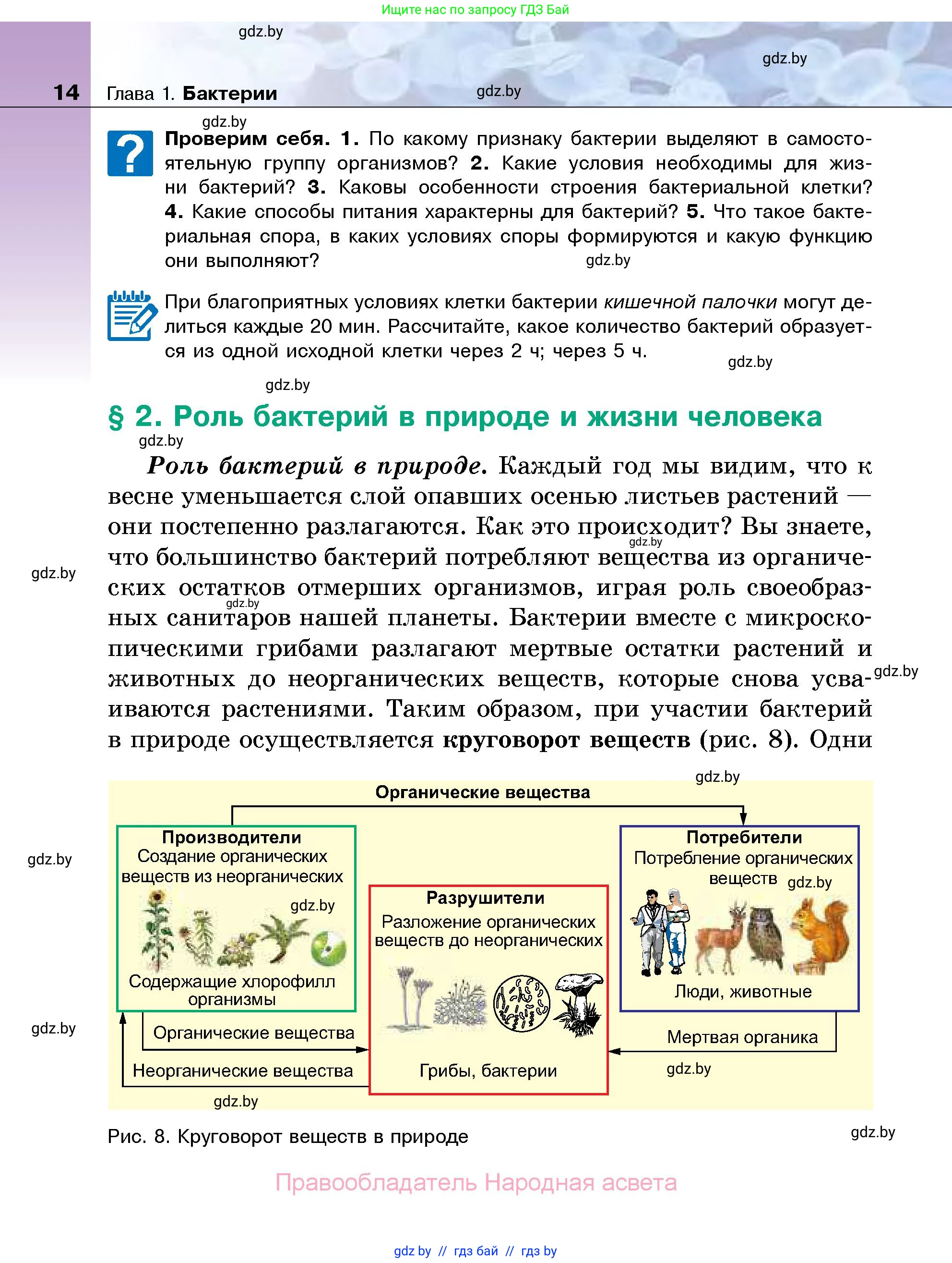 Биология, 7 класс Учебник, автор: Лисов Николай Дмитриевич, издательство Народная асвета, Минск, 2022, зелёного цвета, страница 14