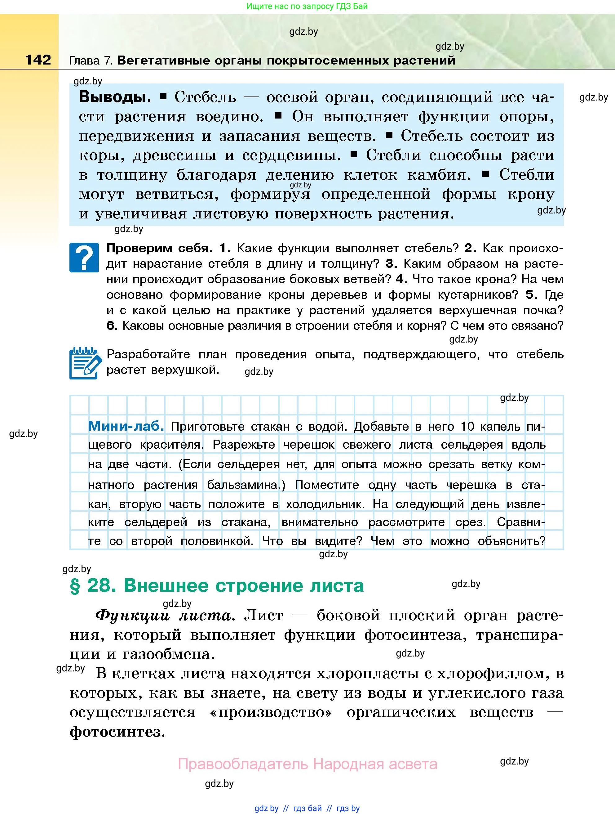 Биология, 7 класс Учебник, автор: Лисов Николай Дмитриевич, издательство Народная асвета, Минск, 2022, зелёного цвета, страница 142