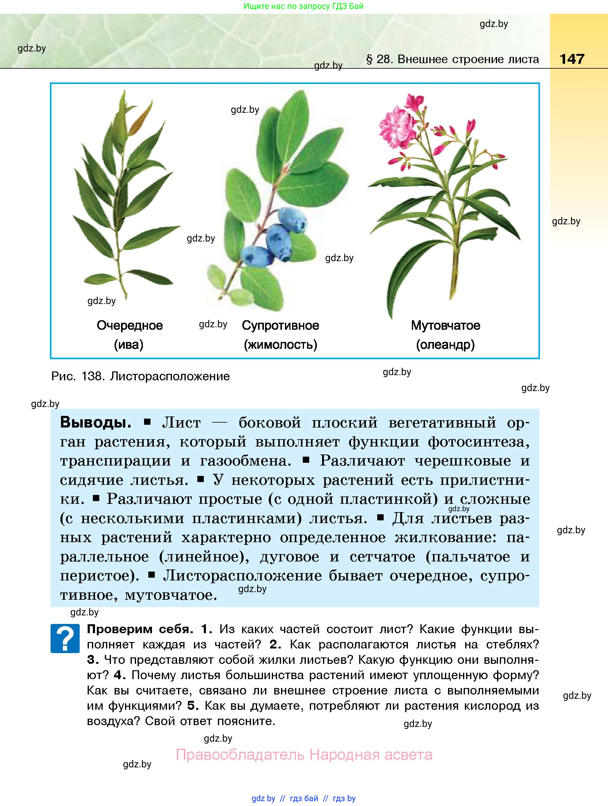 Биология, 7 класс Учебник, автор: Лисов Николай Дмитриевич, издательство Народная асвета, Минск, 2022, зелёного цвета, страница 147