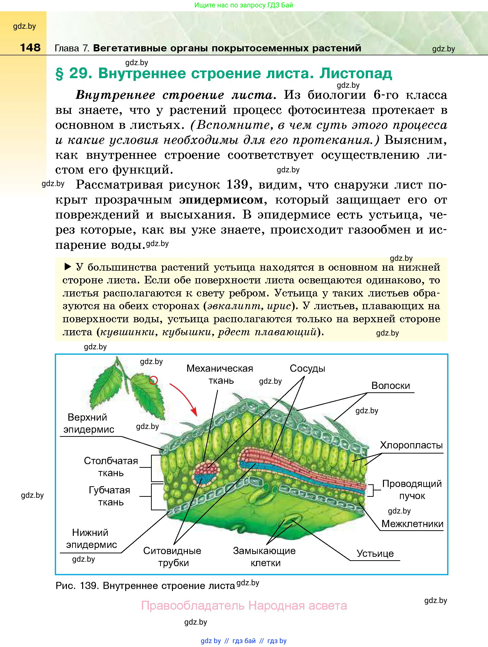 Биология, 7 класс Учебник, автор: Лисов Николай Дмитриевич, издательство Народная асвета, Минск, 2022, зелёного цвета, страница 148