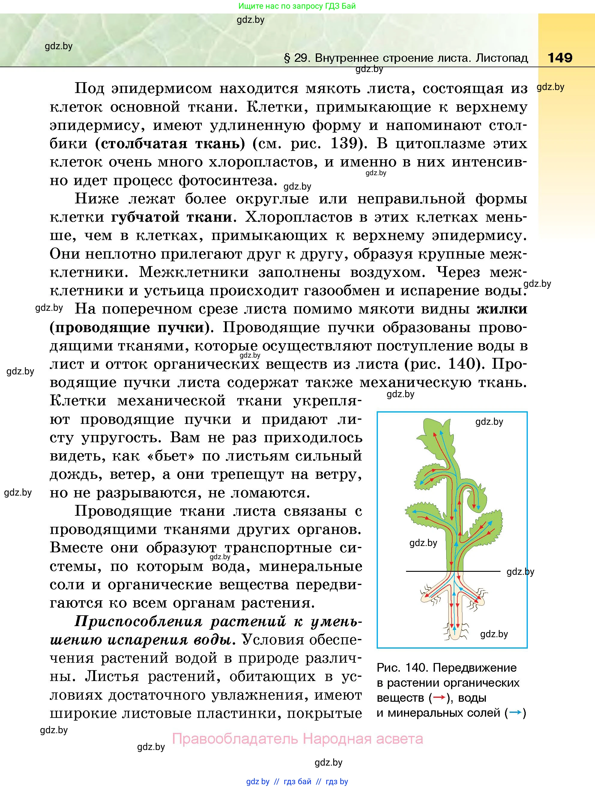 Биология, 7 класс Учебник, автор: Лисов Николай Дмитриевич, издательство Народная асвета, Минск, 2022, зелёного цвета, страница 149