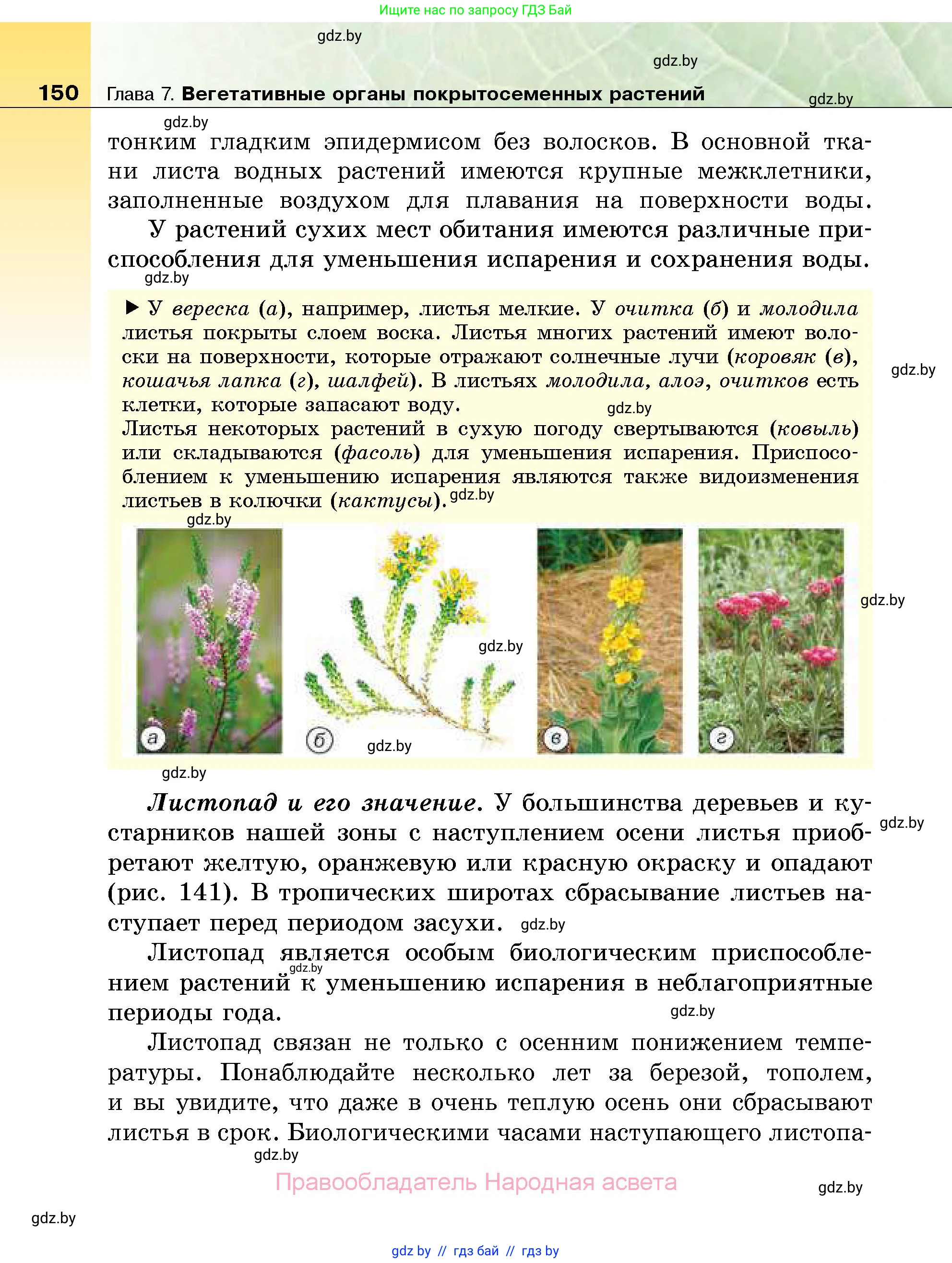 Биология, 7 класс Учебник, автор: Лисов Николай Дмитриевич, издательство Народная асвета, Минск, 2022, зелёного цвета, страница 150