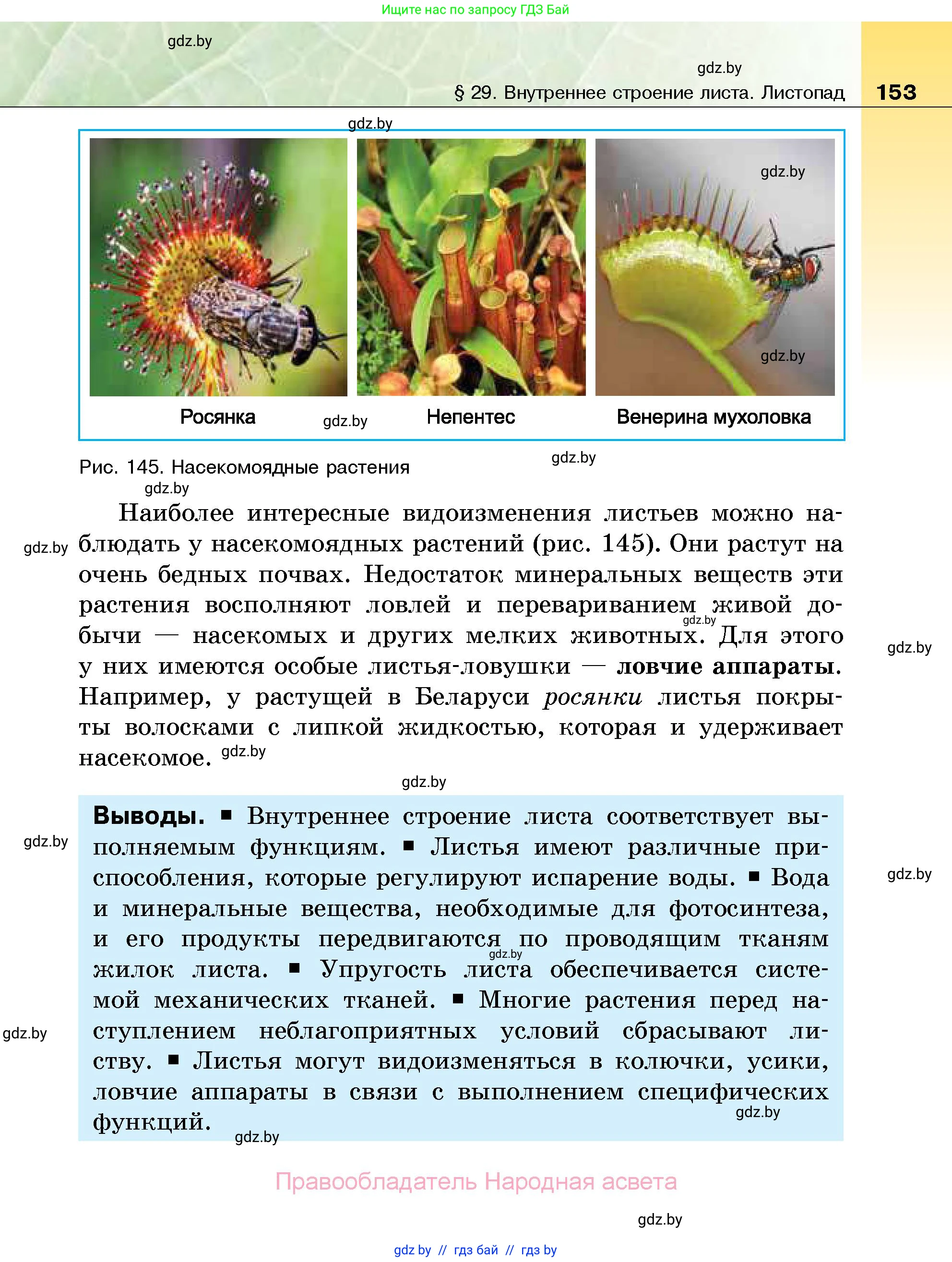 Биология, 7 класс Учебник, автор: Лисов Николай Дмитриевич, издательство Народная асвета, Минск, 2022, зелёного цвета, страница 153