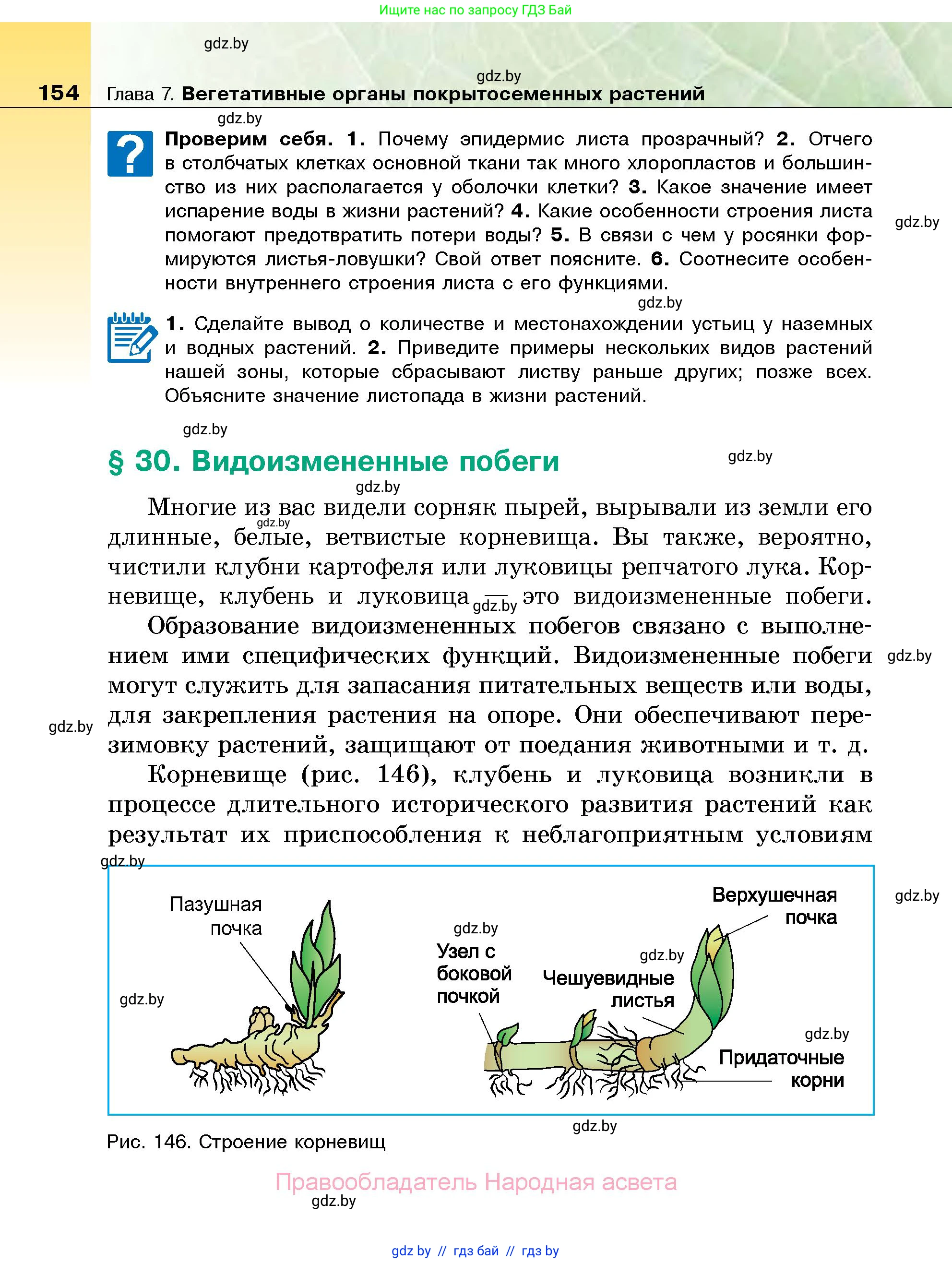 Биология, 7 класс Учебник, автор: Лисов Николай Дмитриевич, издательство Народная асвета, Минск, 2022, зелёного цвета, страница 154