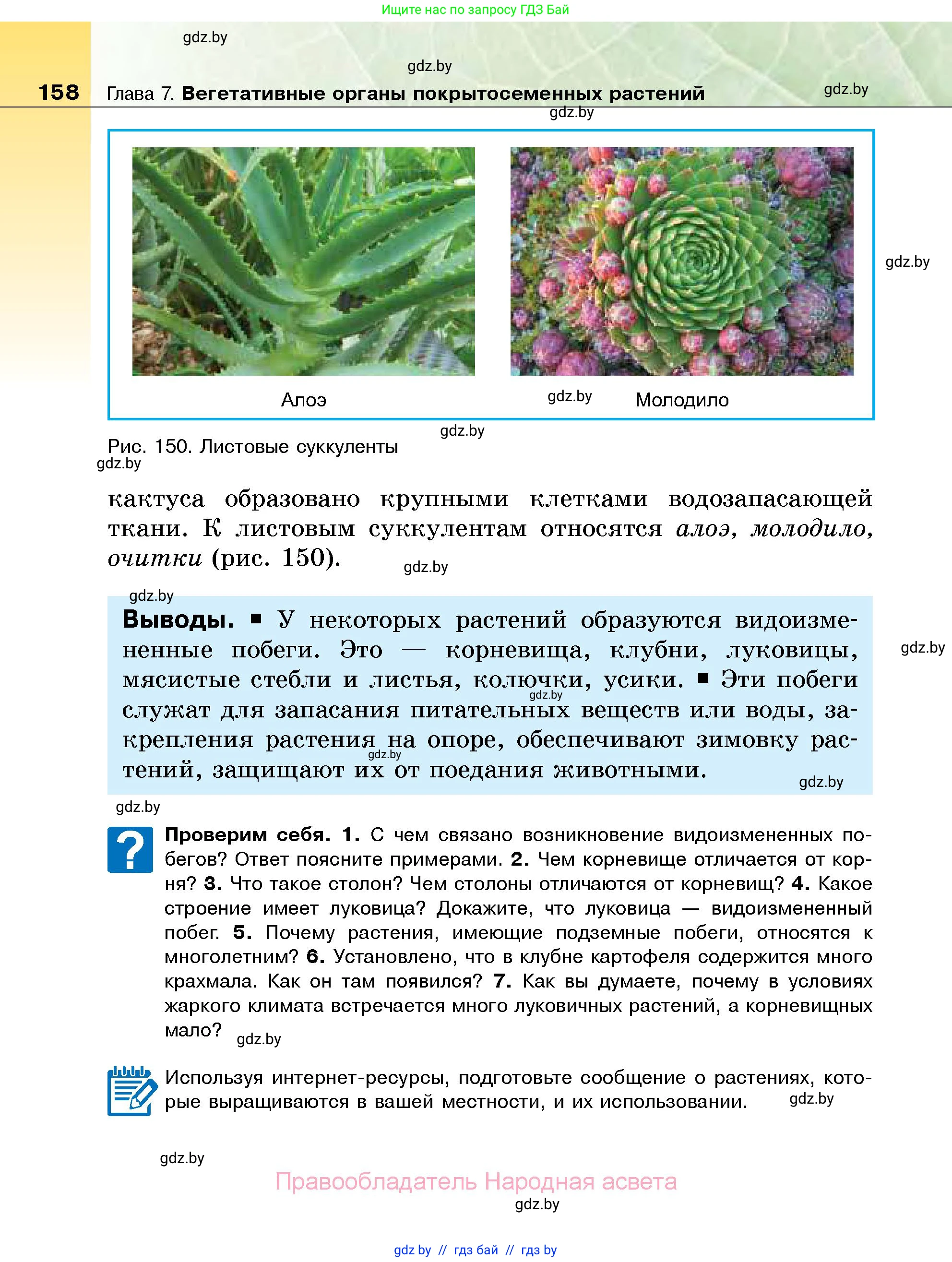 Биология, 7 класс Учебник, автор: Лисов Николай Дмитриевич, издательство Народная асвета, Минск, 2022, зелёного цвета, страница 158