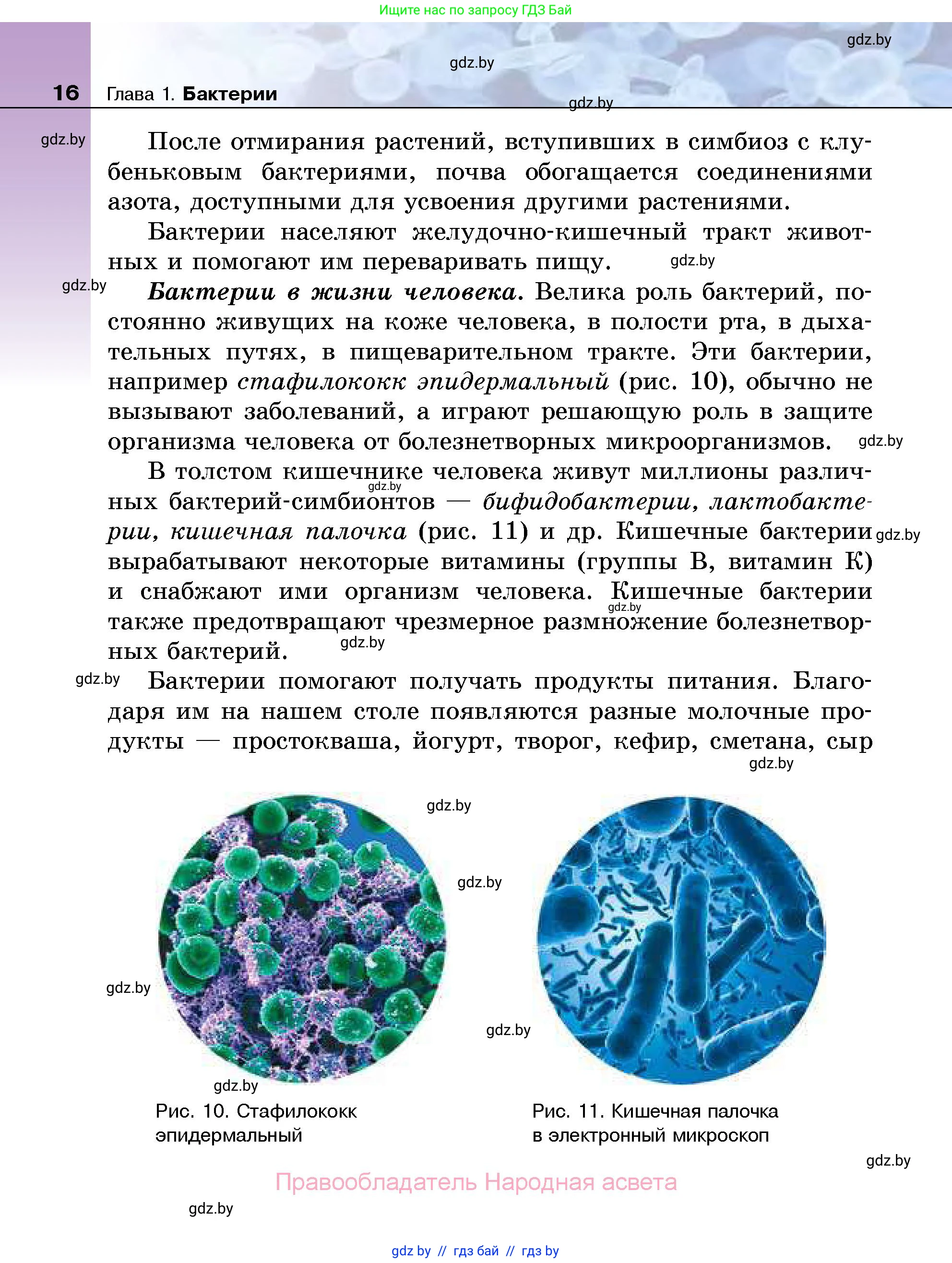 Биология, 7 класс Учебник, автор: Лисов Николай Дмитриевич, издательство Народная асвета, Минск, 2022, зелёного цвета, страница 16