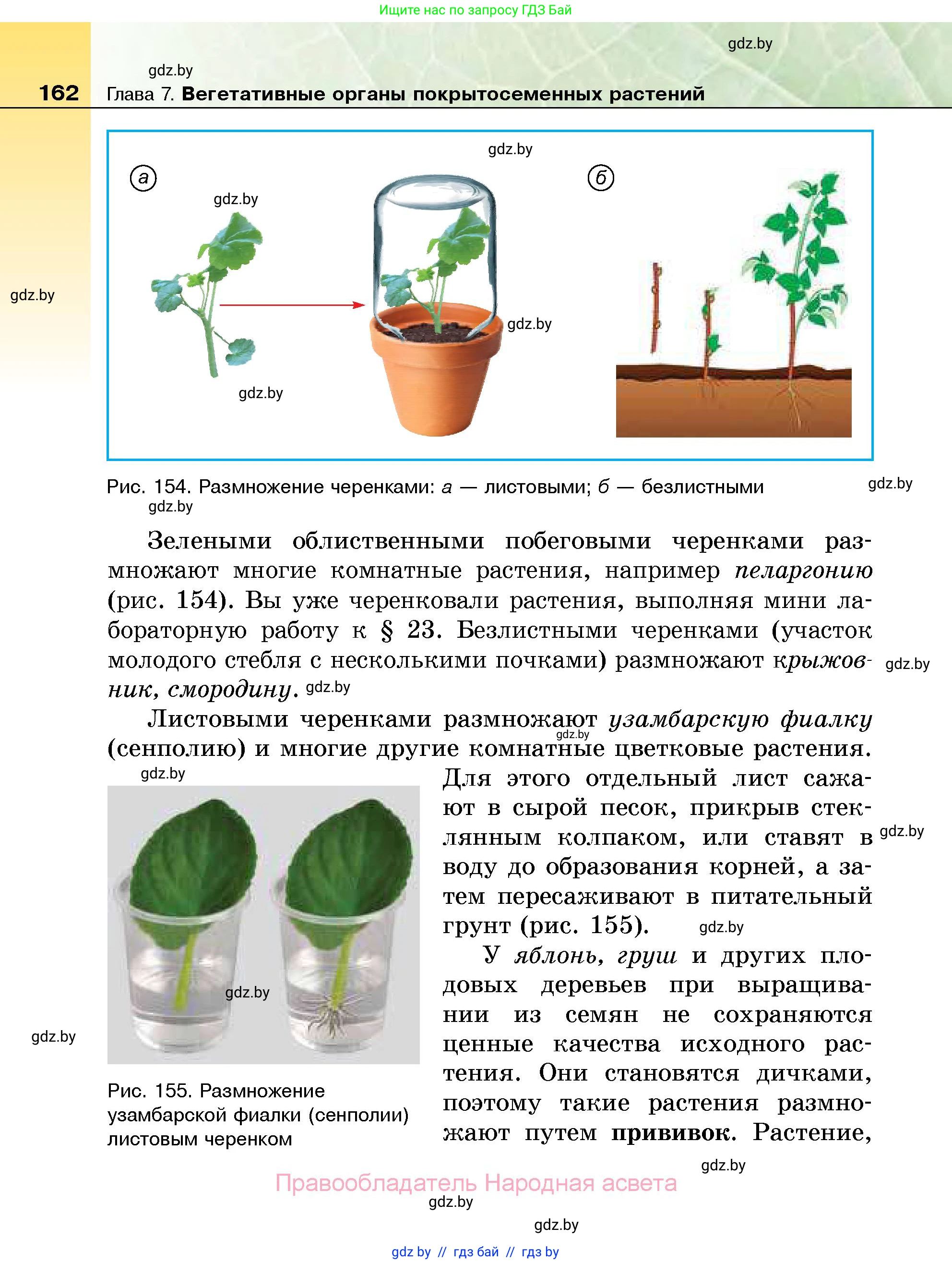 Биология, 7 класс Учебник, автор: Лисов Николай Дмитриевич, издательство Народная асвета, Минск, 2022, зелёного цвета, страница 162