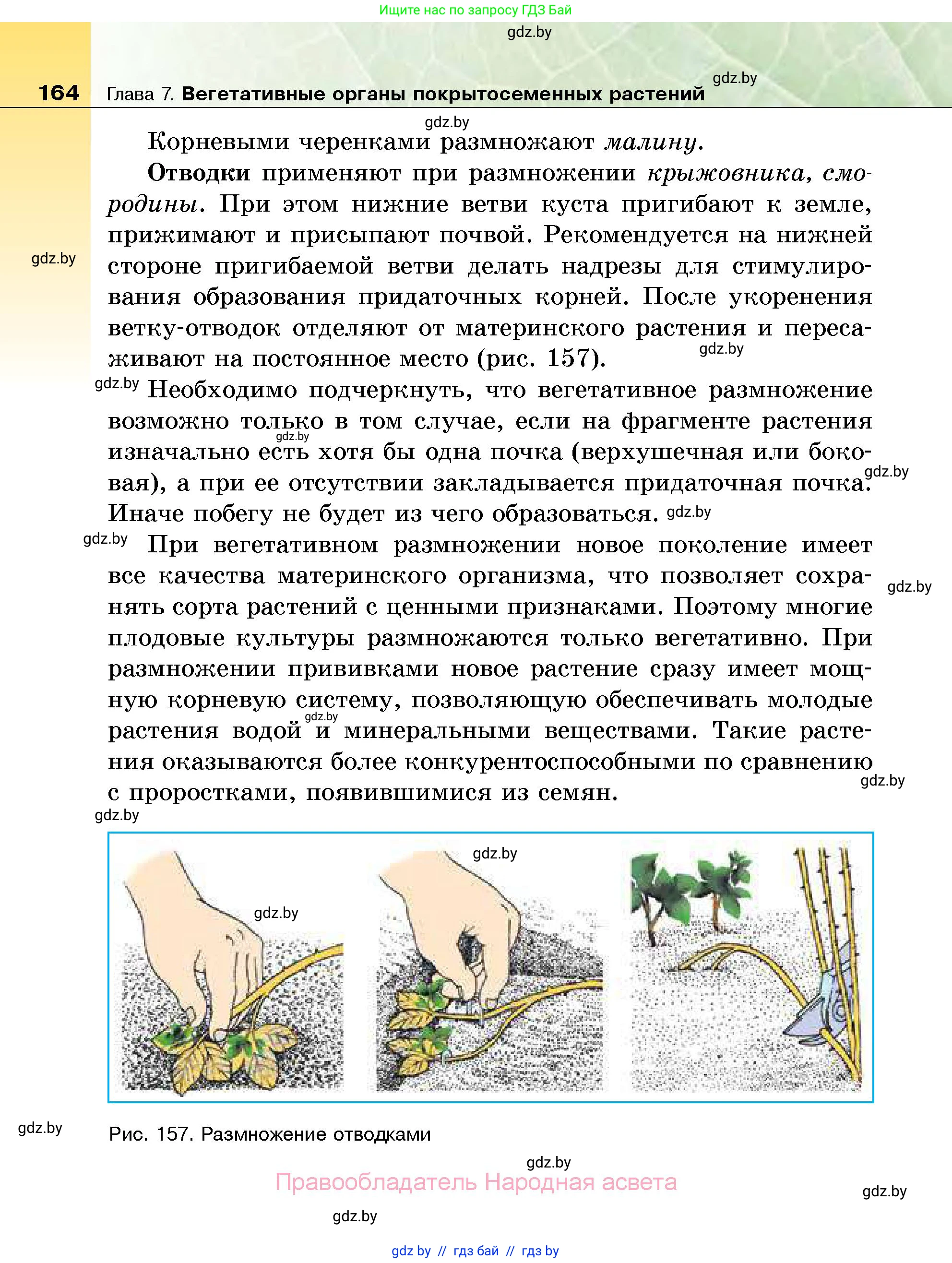 Биология, 7 класс Учебник, автор: Лисов Николай Дмитриевич, издательство Народная асвета, Минск, 2022, зелёного цвета, страница 164