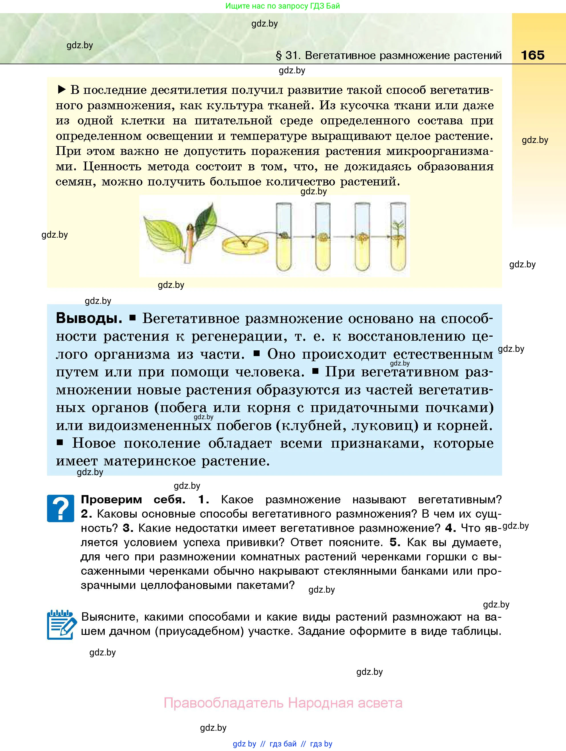 Биология, 7 класс Учебник, автор: Лисов Николай Дмитриевич, издательство Народная асвета, Минск, 2022, зелёного цвета, страница 165