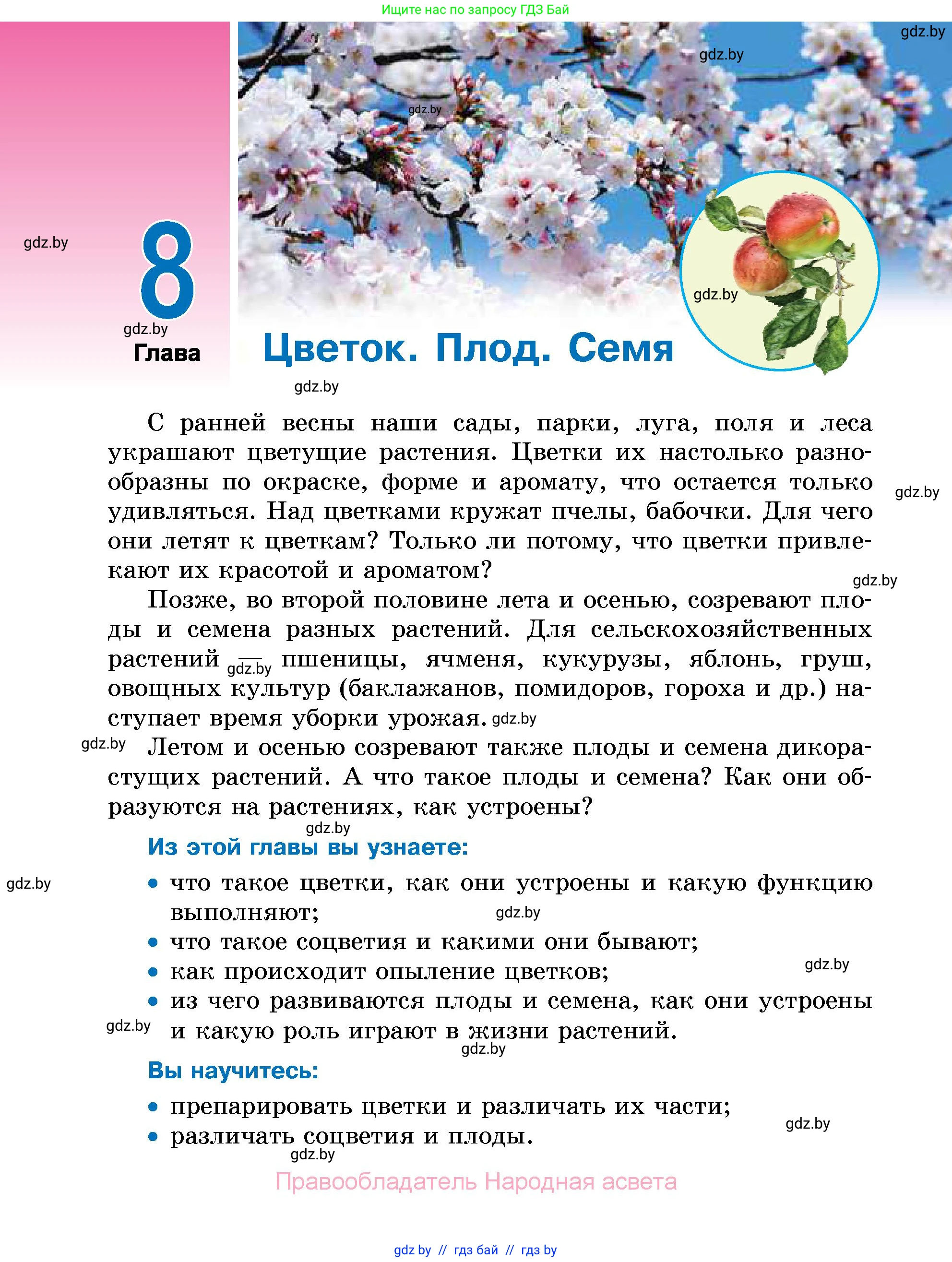 Биология, 7 класс Учебник, автор: Лисов Николай Дмитриевич, издательство Народная асвета, Минск, 2022, зелёного цвета, страница 168