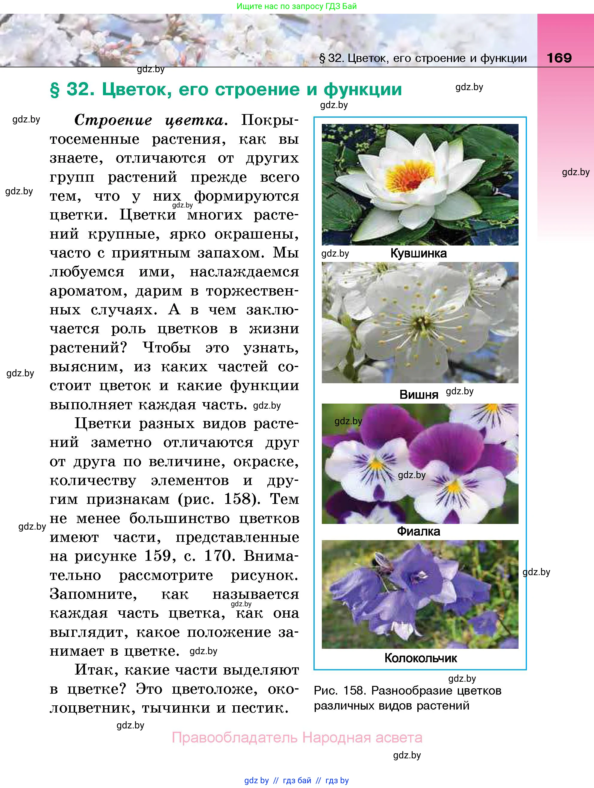 Биология, 7 класс Учебник, автор: Лисов Николай Дмитриевич, издательство Народная асвета, Минск, 2022, зелёного цвета, страница 169