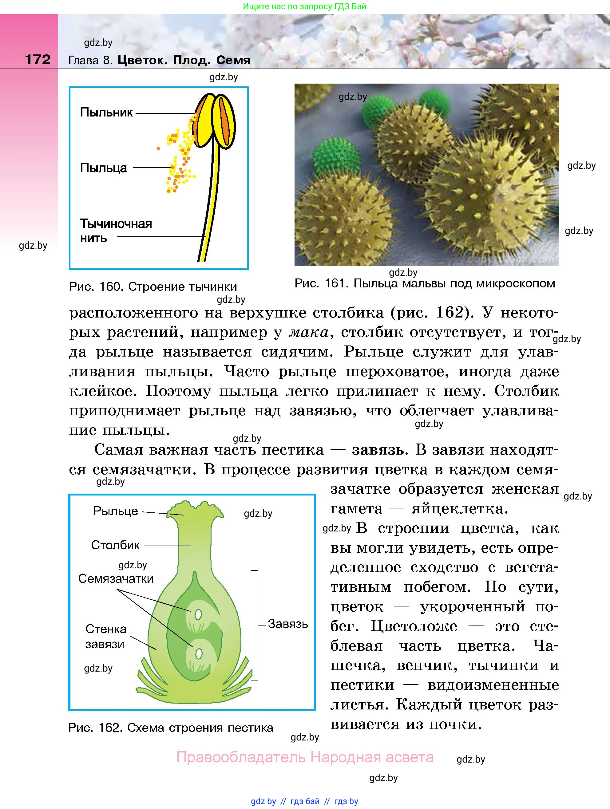 Биология, 7 класс Учебник, автор: Лисов Николай Дмитриевич, издательство Народная асвета, Минск, 2022, зелёного цвета, страница 172