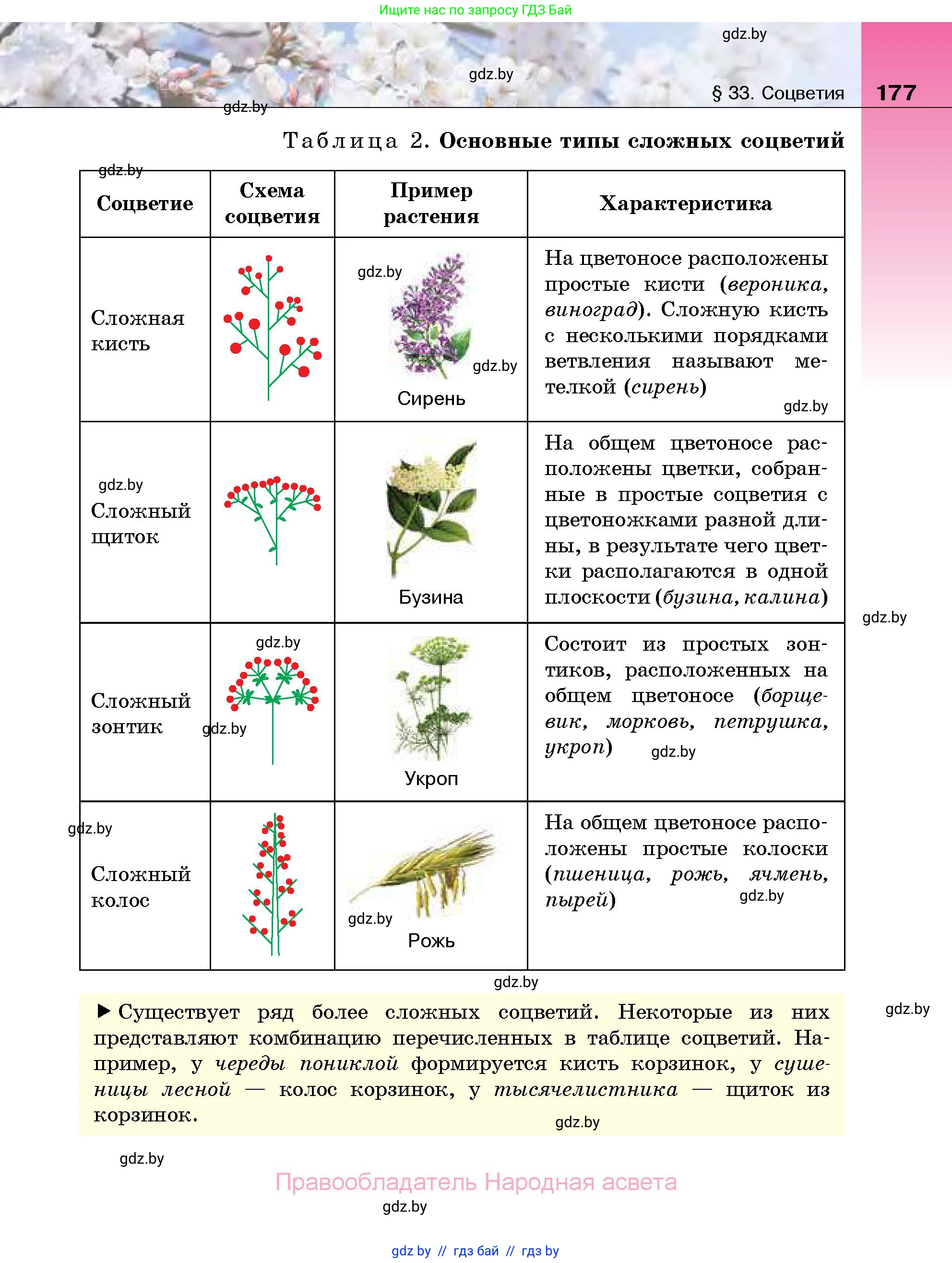 Биология, 7 класс Учебник, автор: Лисов Николай Дмитриевич, издательство Народная асвета, Минск, 2022, зелёного цвета, страница 177