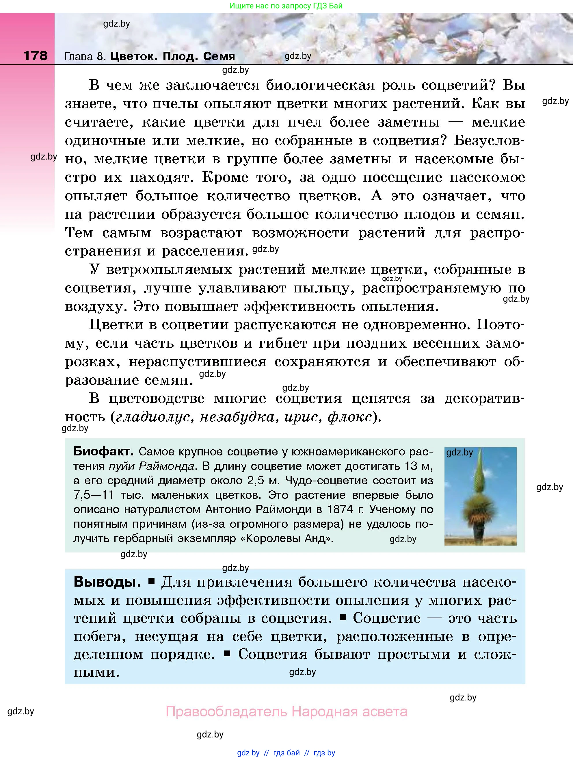 Биология, 7 класс Учебник, автор: Лисов Николай Дмитриевич, издательство Народная асвета, Минск, 2022, зелёного цвета, страница 178