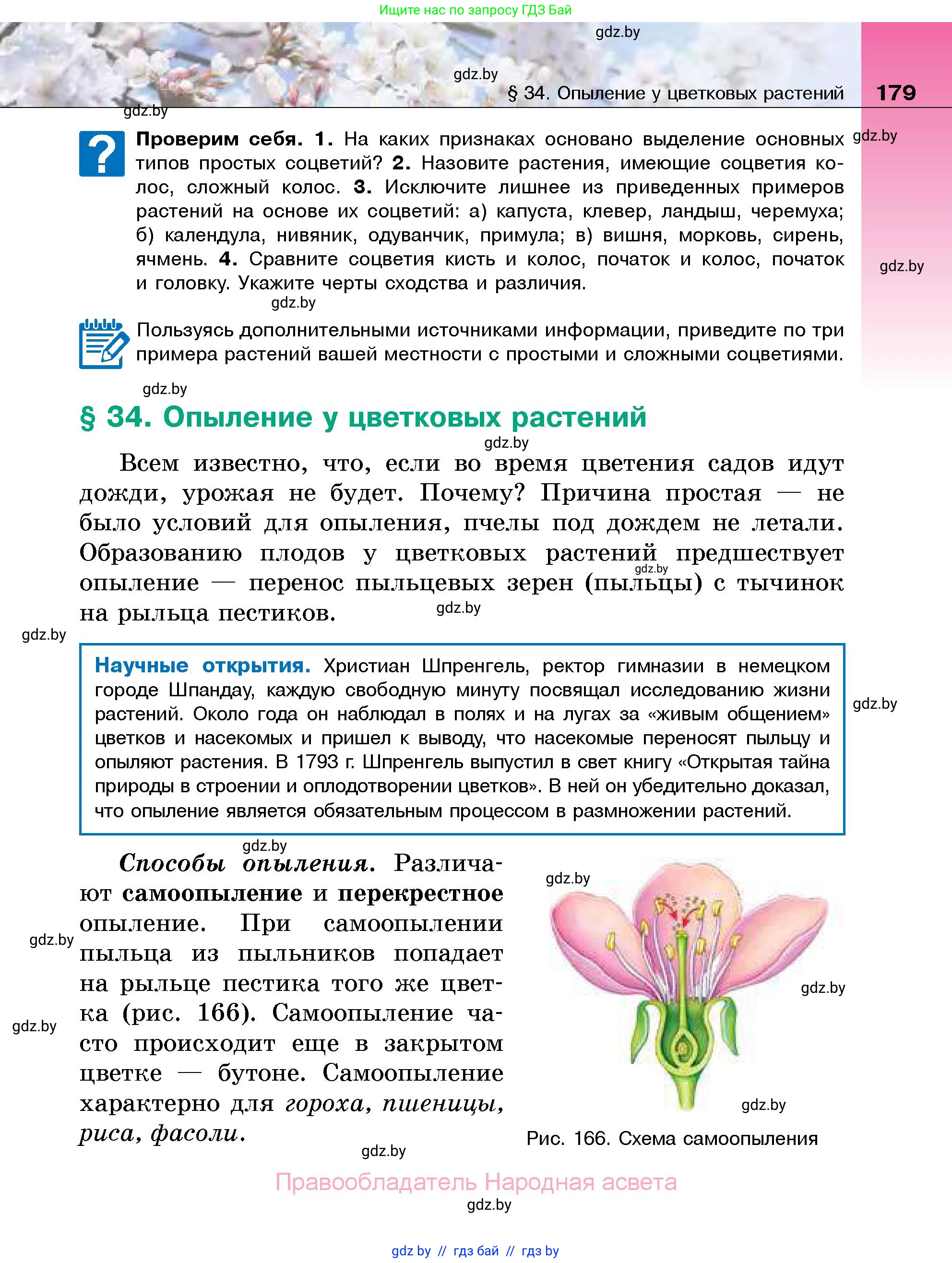 Биология, 7 класс Учебник, автор: Лисов Николай Дмитриевич, издательство Народная асвета, Минск, 2022, зелёного цвета, страница 179