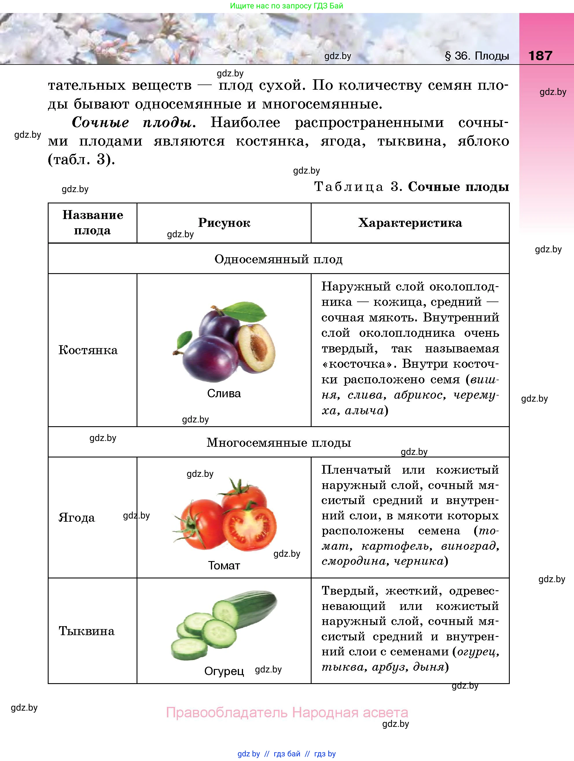 Биология, 7 класс Учебник, автор: Лисов Николай Дмитриевич, издательство Народная асвета, Минск, 2022, зелёного цвета, страница 187