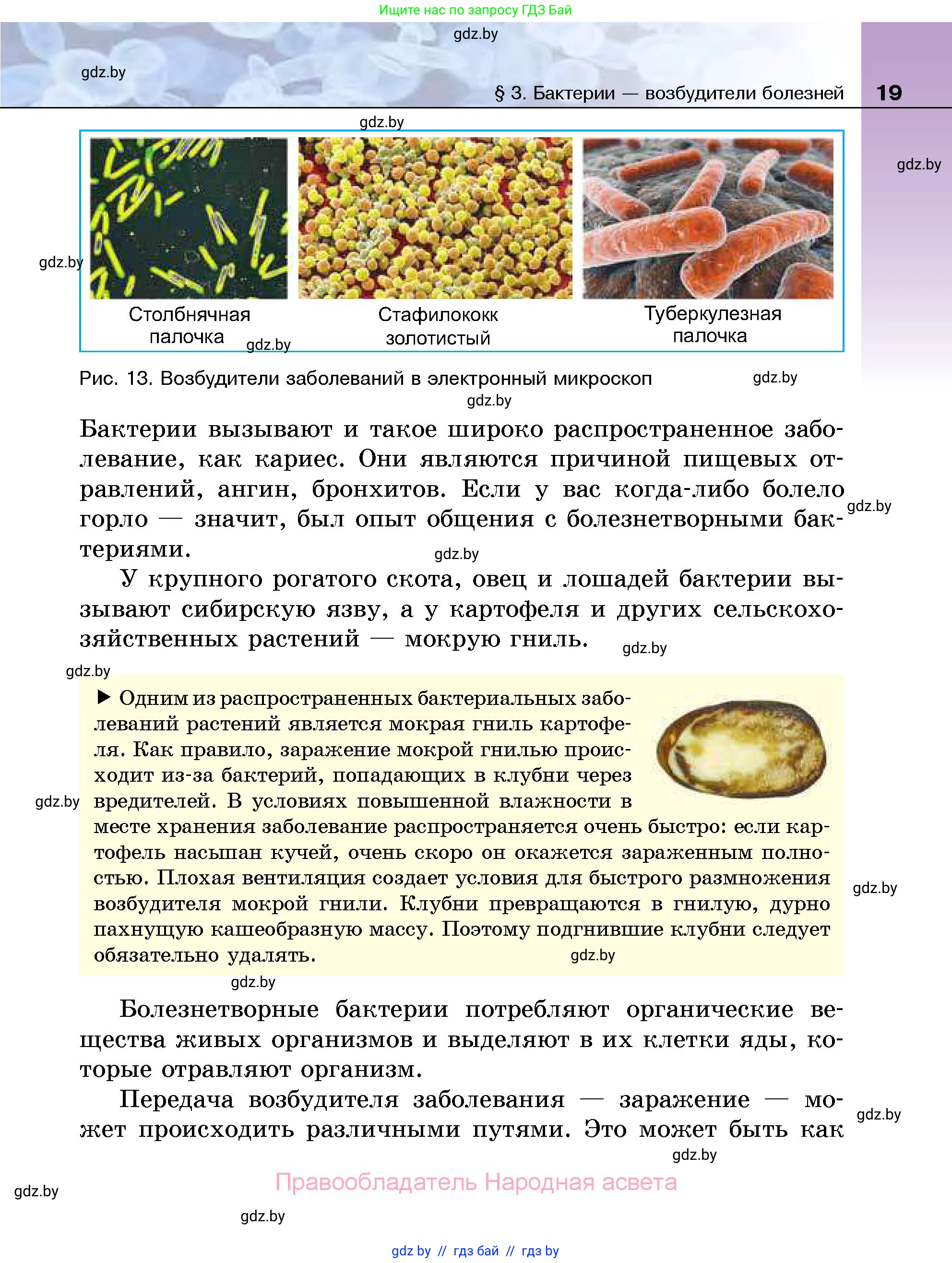 Биология, 7 класс Учебник, автор: Лисов Николай Дмитриевич, издательство Народная асвета, Минск, 2022, зелёного цвета, страница 19
