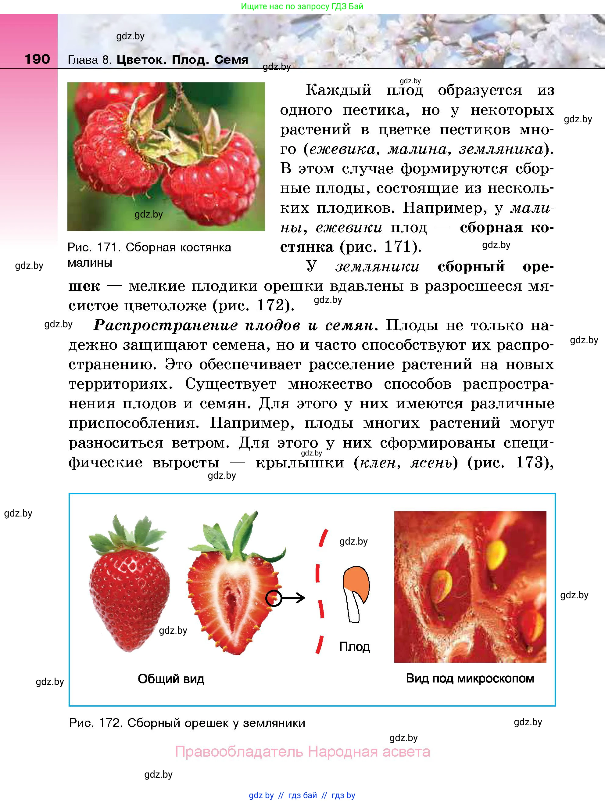 Биология, 7 класс Учебник, автор: Лисов Николай Дмитриевич, издательство Народная асвета, Минск, 2022, зелёного цвета, страница 190