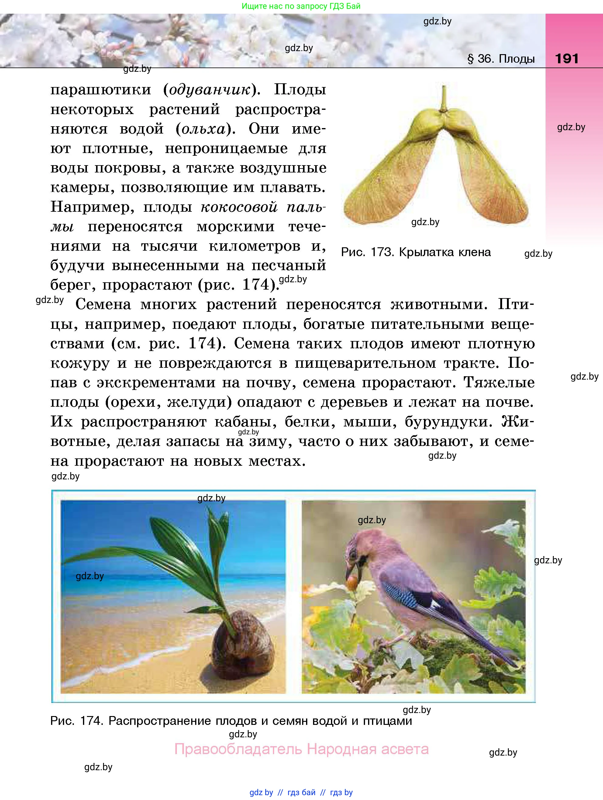 Биология, 7 класс Учебник, автор: Лисов Николай Дмитриевич, издательство Народная асвета, Минск, 2022, зелёного цвета, страница 191