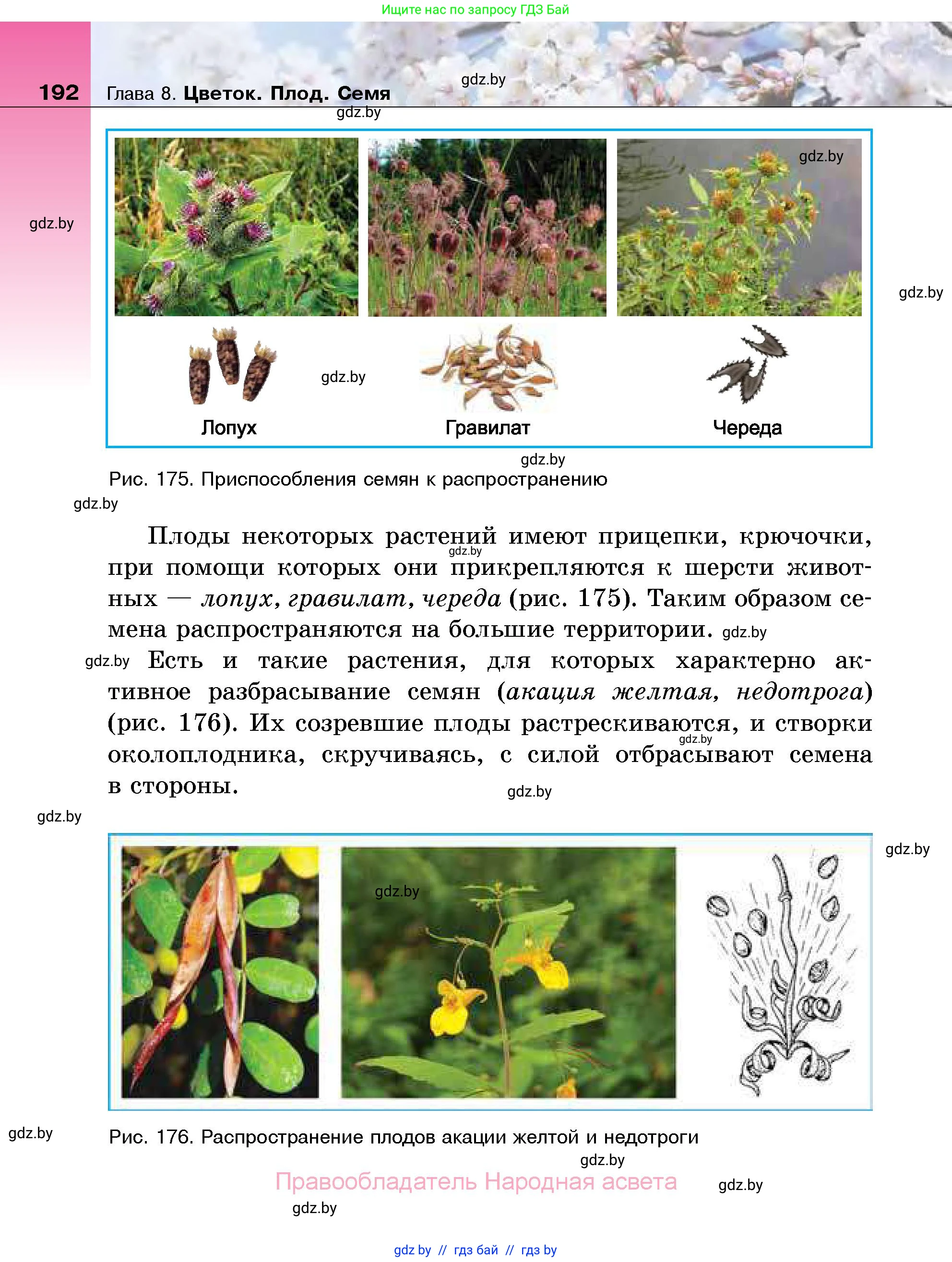 Биология, 7 класс Учебник, автор: Лисов Николай Дмитриевич, издательство Народная асвета, Минск, 2022, зелёного цвета, страница 192