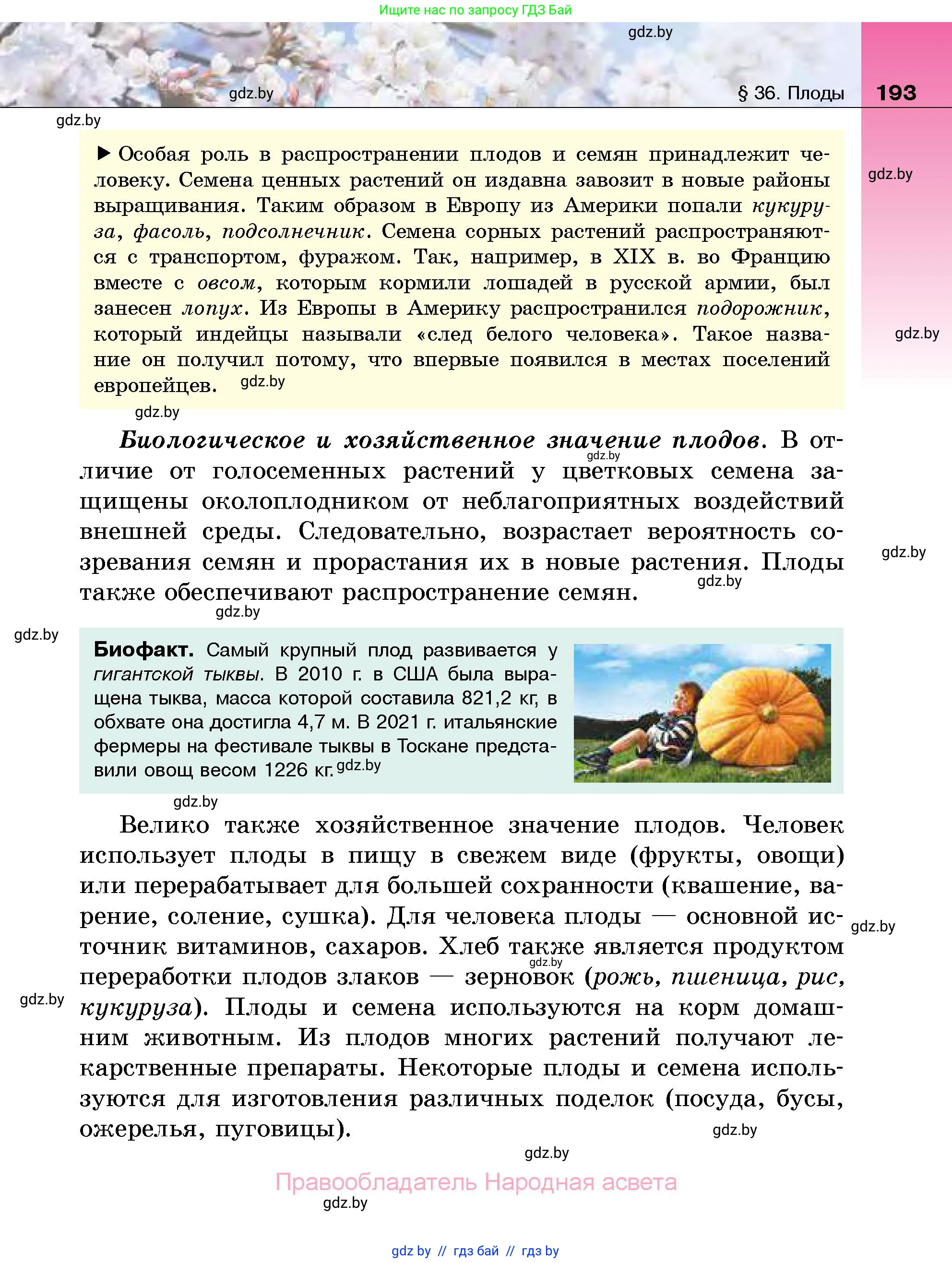 Биология, 7 класс Учебник, автор: Лисов Николай Дмитриевич, издательство Народная асвета, Минск, 2022, зелёного цвета, страница 193