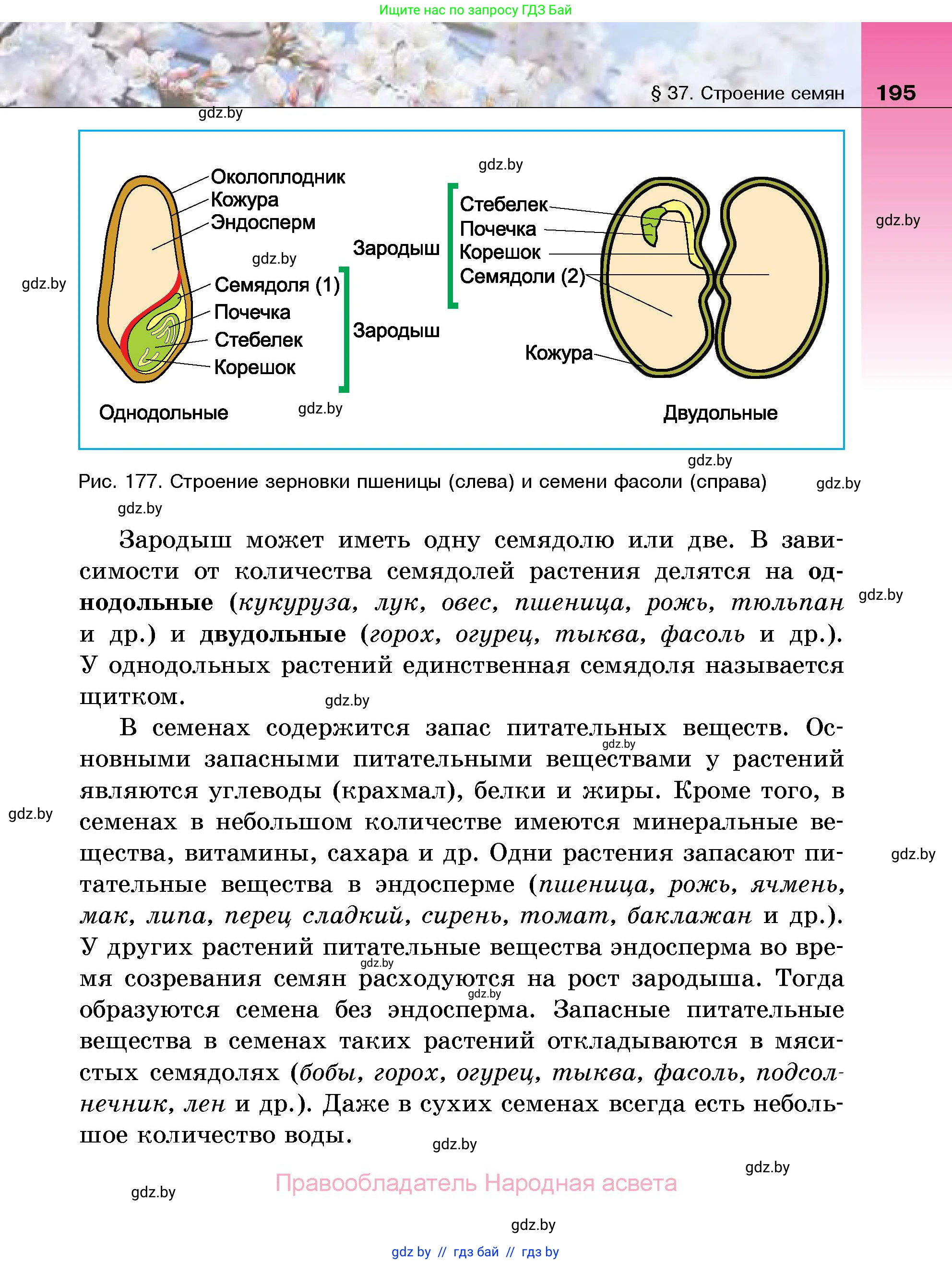 Биология, 7 класс Учебник, автор: Лисов Николай Дмитриевич, издательство Народная асвета, Минск, 2022, зелёного цвета, страница 195