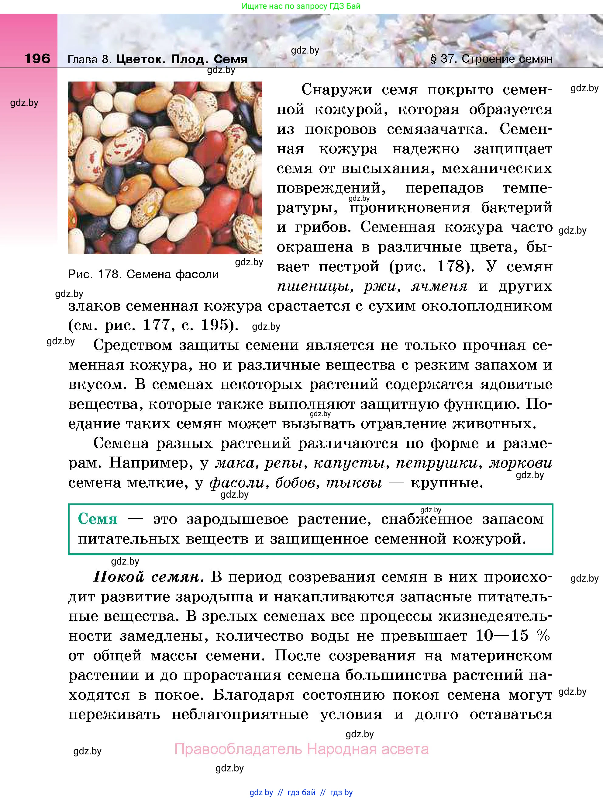 Биология, 7 класс Учебник, автор: Лисов Николай Дмитриевич, издательство Народная асвета, Минск, 2022, зелёного цвета, страница 196