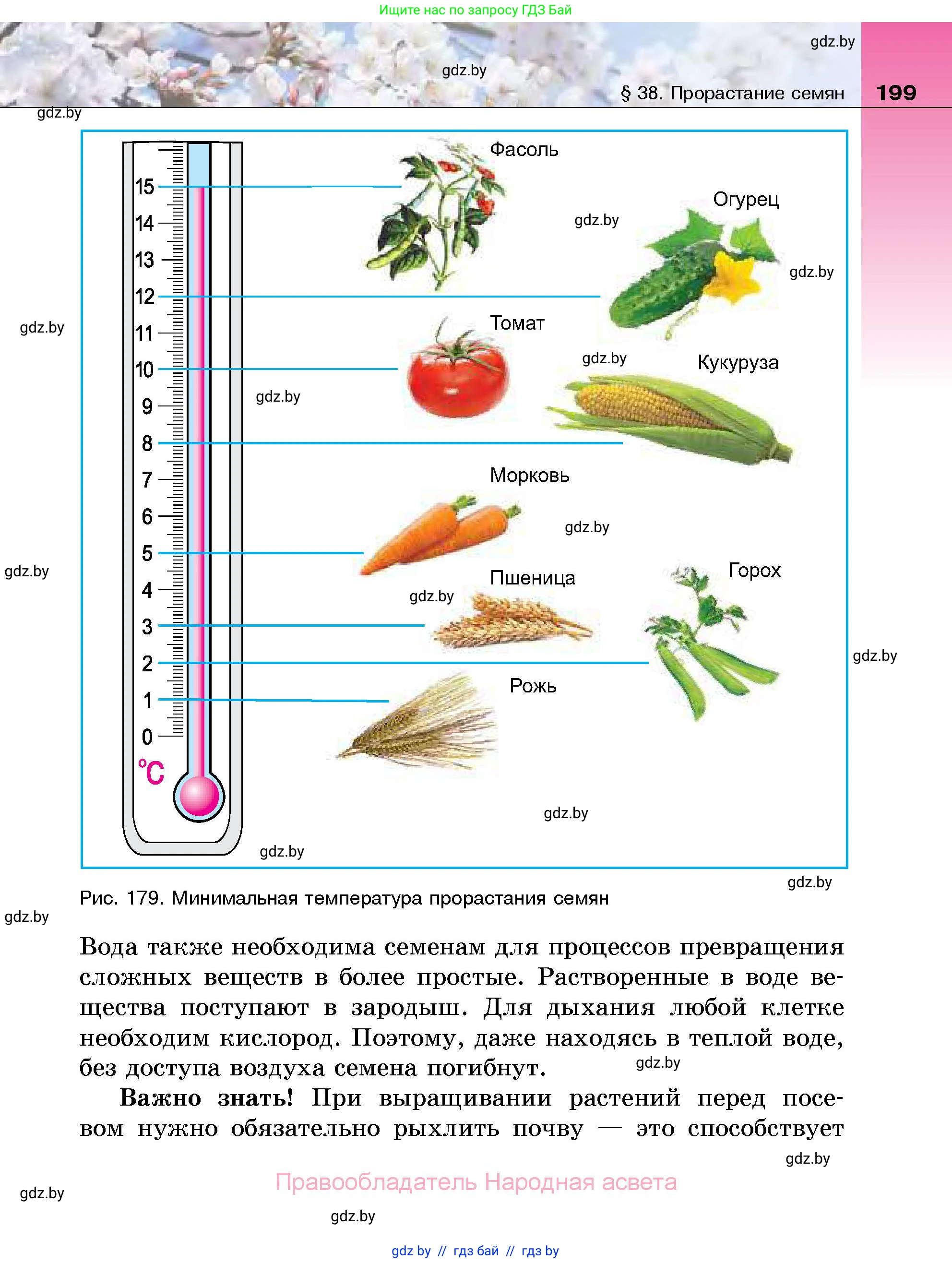 Биология, 7 класс Учебник, автор: Лисов Николай Дмитриевич, издательство Народная асвета, Минск, 2022, зелёного цвета, страница 199
