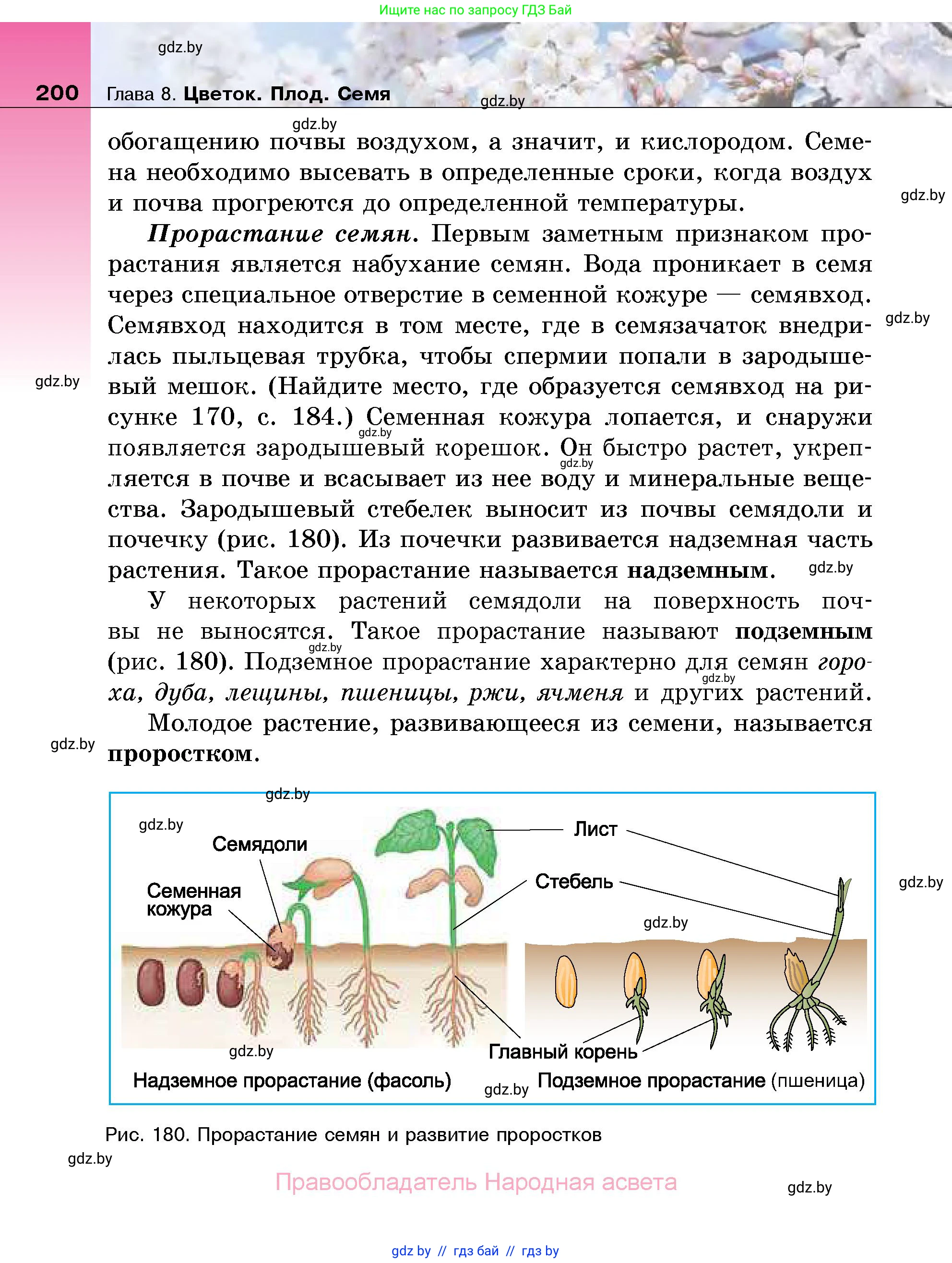 Биология, 7 класс Учебник, автор: Лисов Николай Дмитриевич, издательство Народная асвета, Минск, 2022, зелёного цвета, страница 200