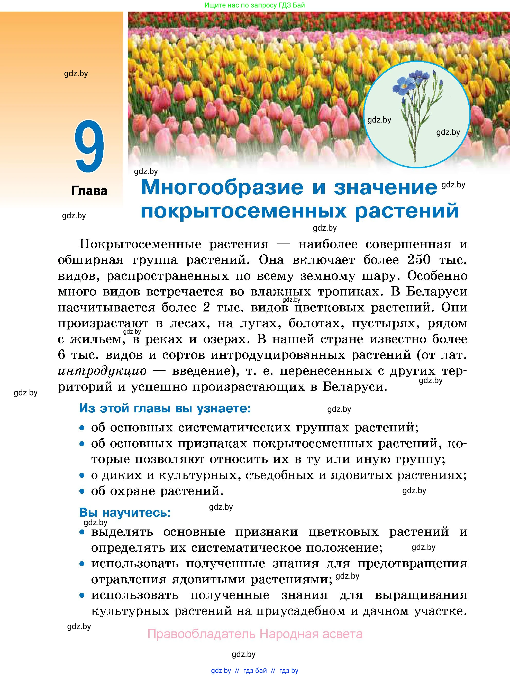 Биология, 7 класс Учебник, автор: Лисов Николай Дмитриевич, издательство Народная асвета, Минск, 2022, зелёного цвета, страница 204