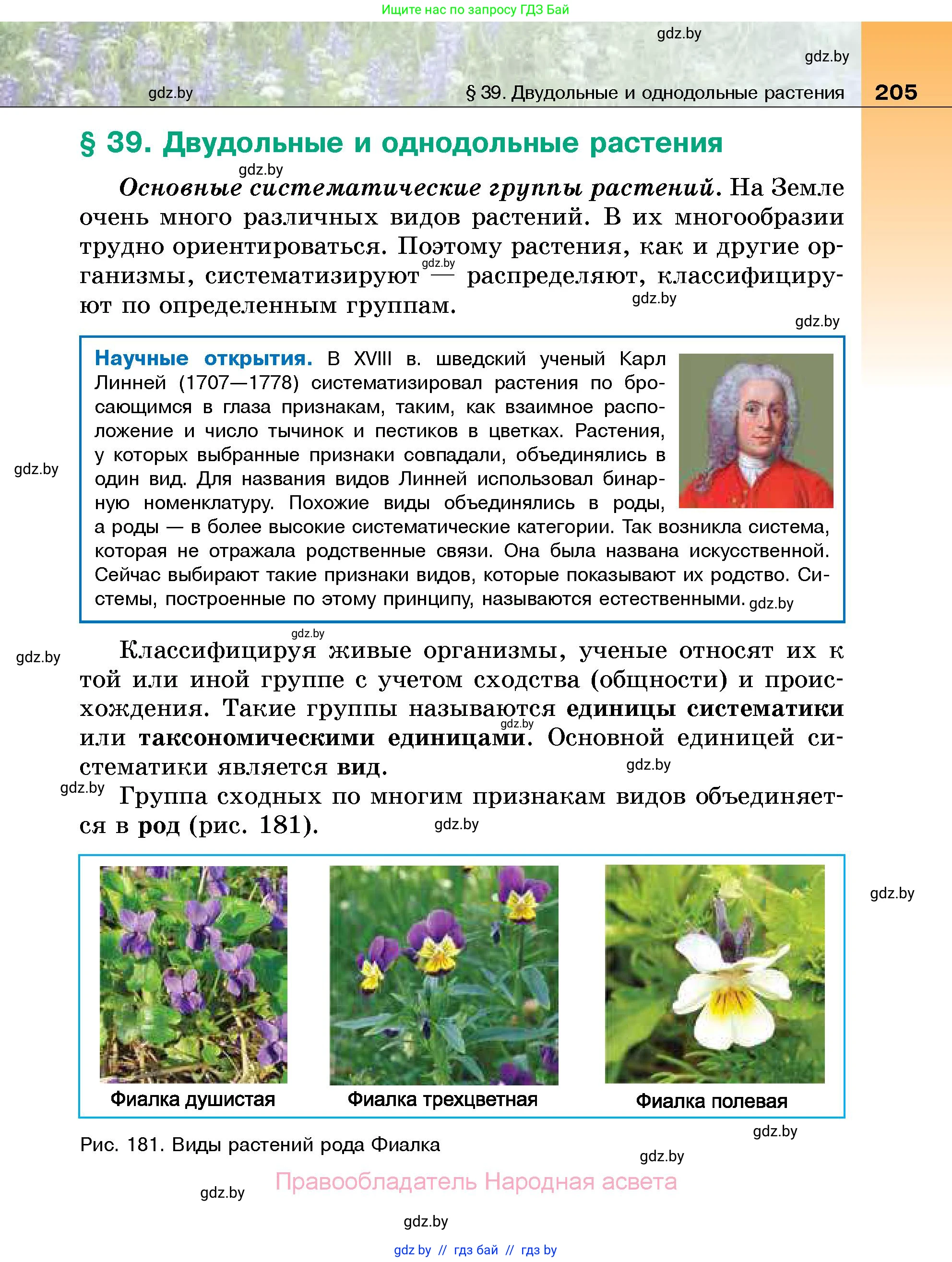 Биология, 7 класс Учебник, автор: Лисов Николай Дмитриевич, издательство Народная асвета, Минск, 2022, зелёного цвета, страница 205